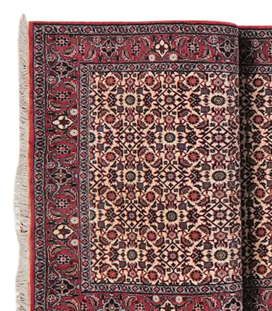 Bidjar — Hand-knotted, 82x484 cm, Beige, 100% Virgin Wool | View 3