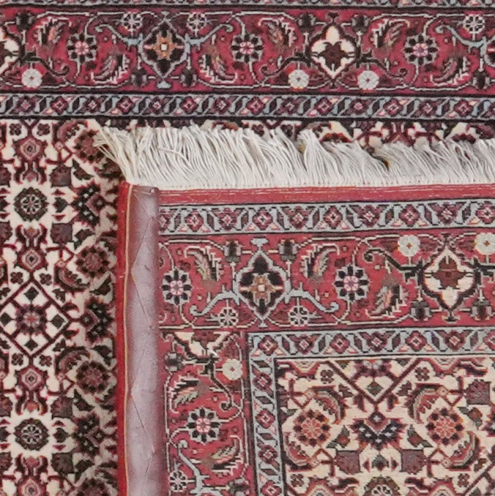 Bidjar — Hand-knotted, 82x484 cm, Beige, 100% Virgin Wool | View 6