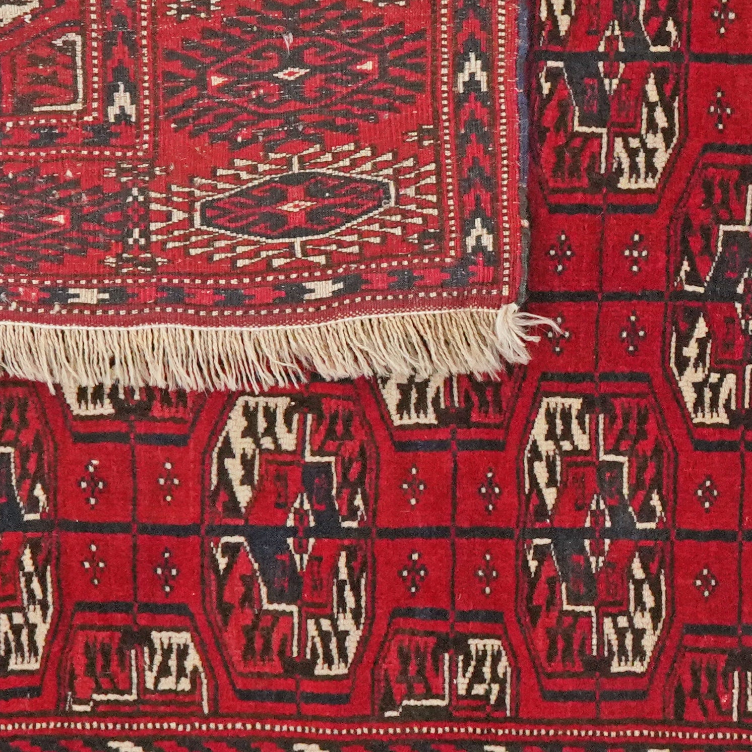 Buchara — Hand-knotted, 120x157 cm, Red, 100% Virgin Wool | View 6
