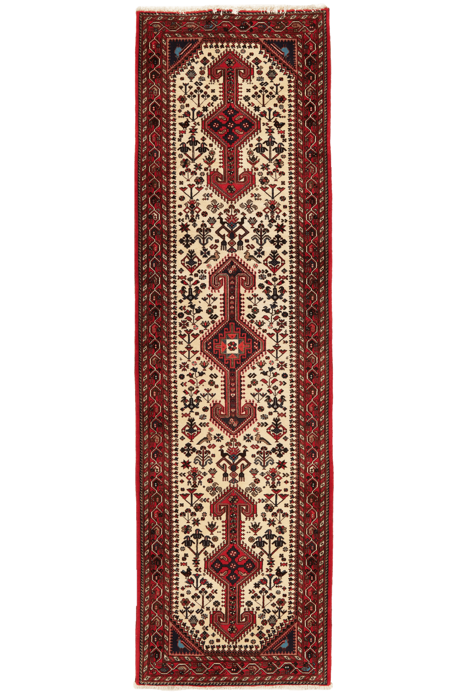 Nasrabad — Hand-knotted, 82x295 cm, Beige, 100% Virgin Wool | Main view