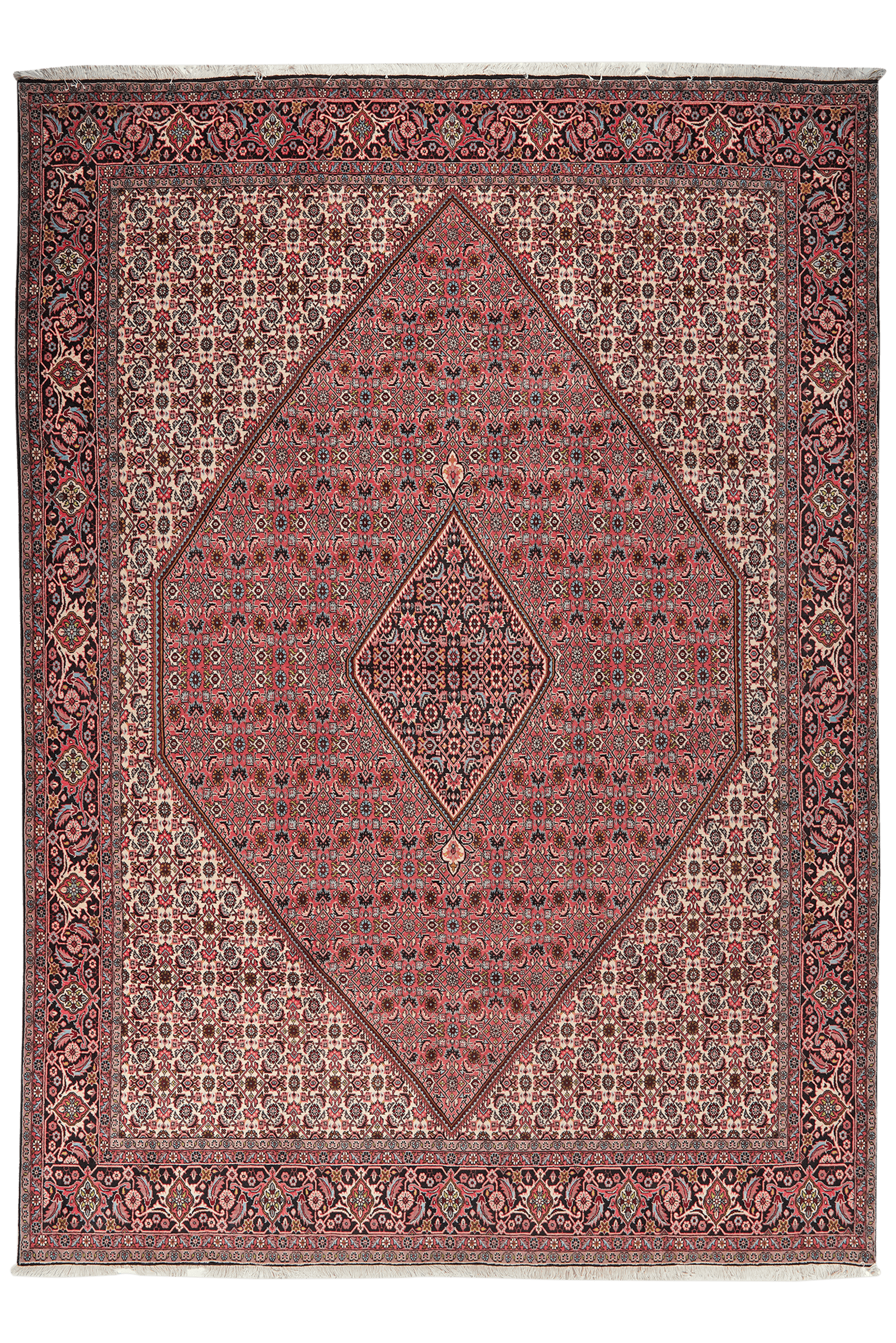 Bidjar Zandjan — Hand-knotted, 252x355 cm, Red, 100% Virgin Wool | Main view