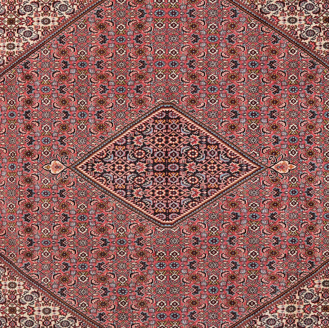 Bidjar Zandjan — Hand-knotted, 252x355 cm, Red, 100% Virgin Wool | View 4