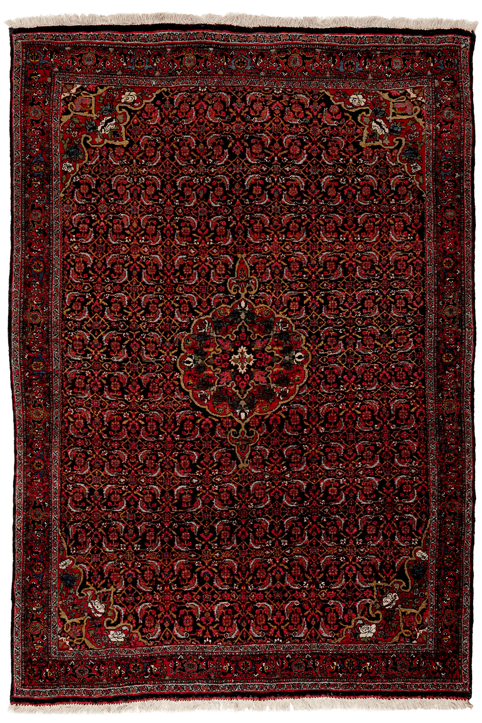 Bidjar — Hand-knotted, 134x194 cm, Blue, 100% Virgin Wool | Main view