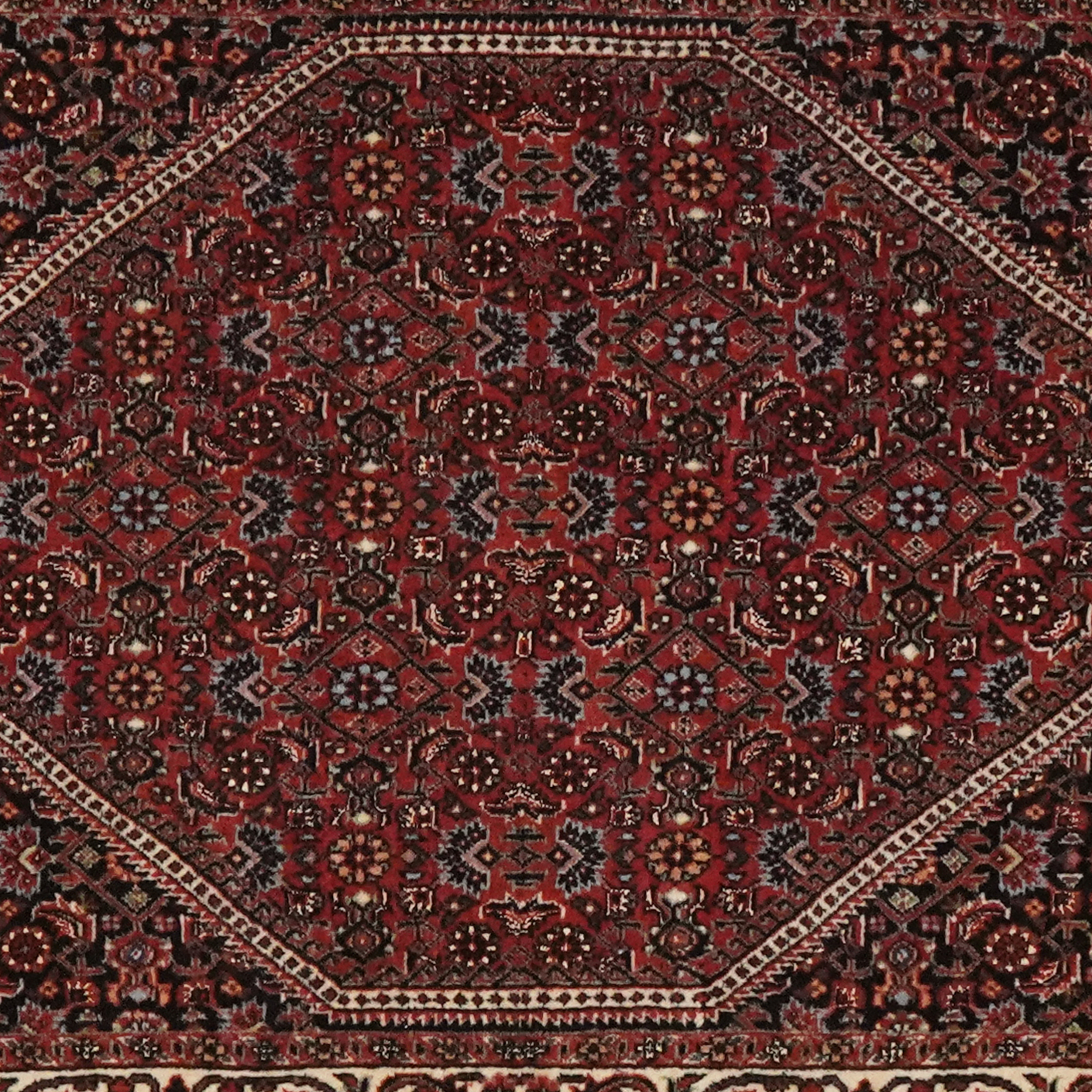 Bidjar Bookan — Handgefertigt, 306x82 cm, Beige, 100% Virgin Wool | View 5