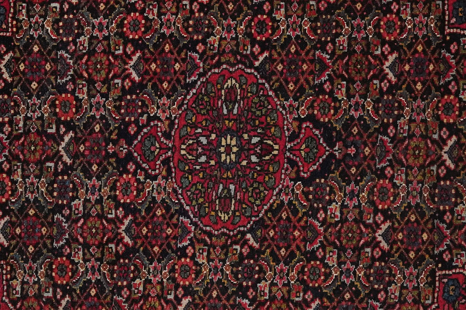 Bidjar — Hand-knotted, 68x83 cm, Blue, 100% Virgin Wool | View 4