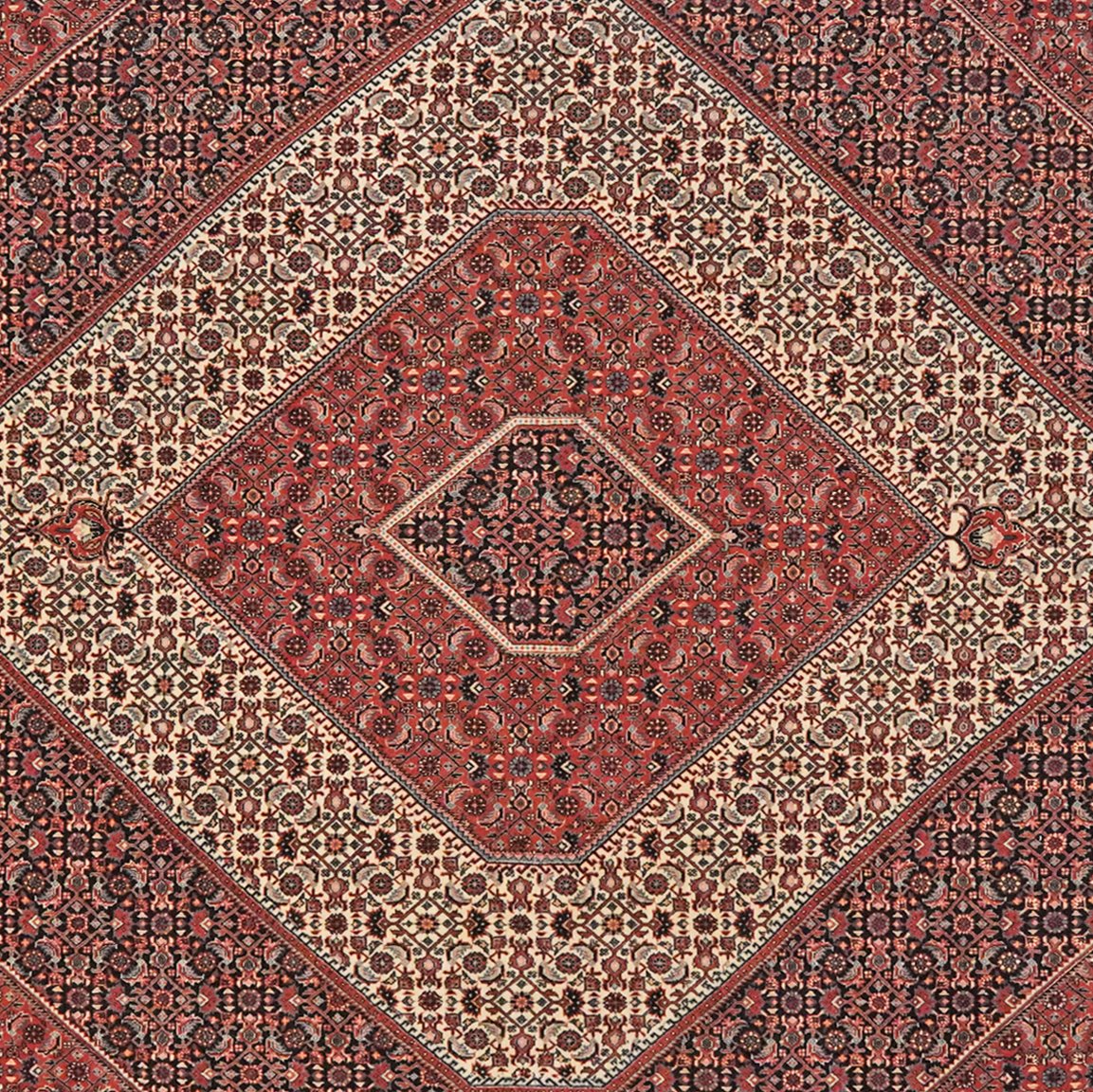 Bidjar Bookan — Hand-knotted, 207x247 cm, Blue, 90% Schurwolle, 10% Seide | View 4