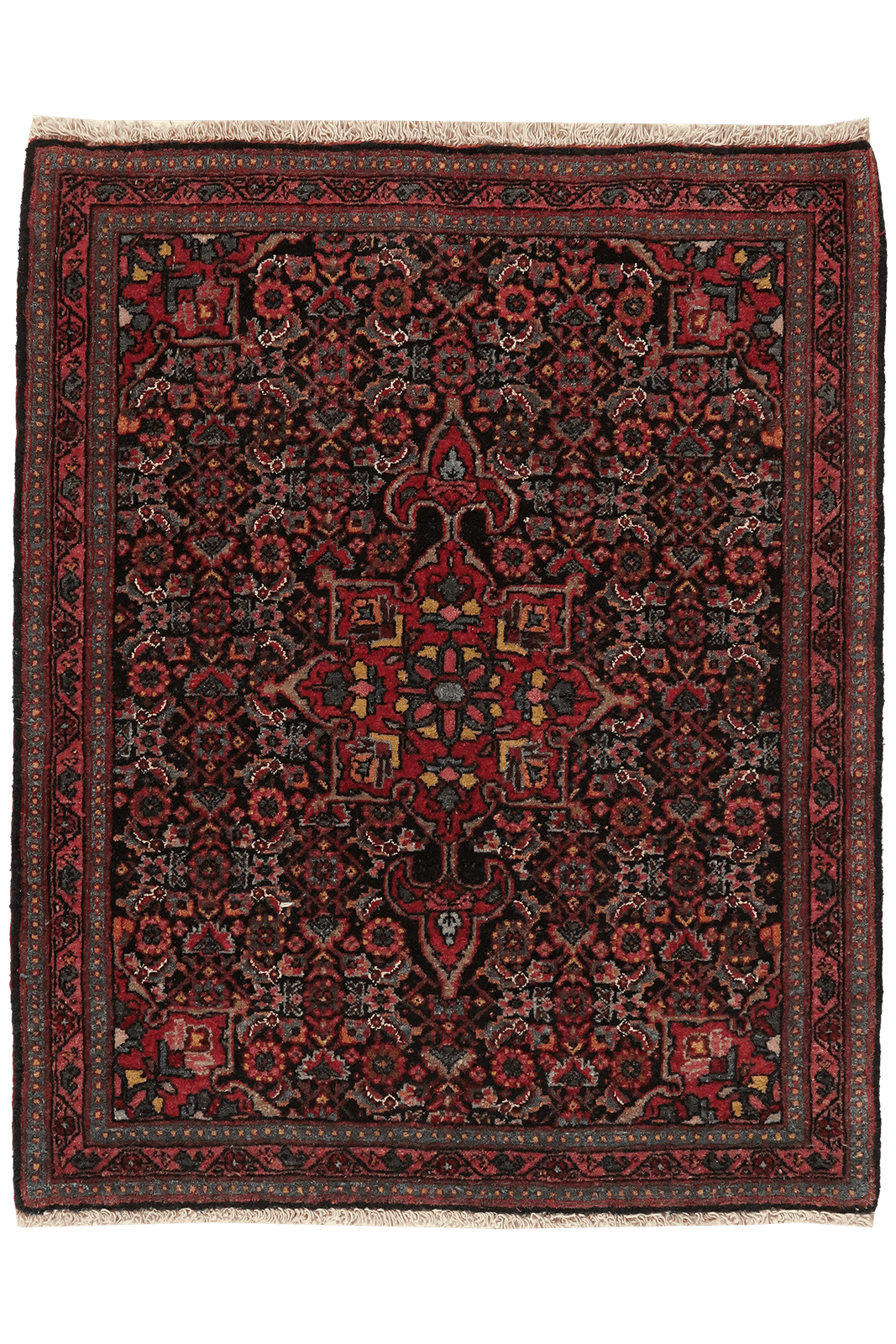 Bidjar — Hand-knotted, 69x83 cm, Blue, 100% Virgin Wool | Main view