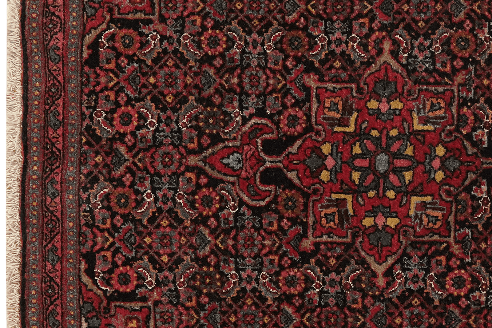 Bidjar — Hand-knotted, 69x83 cm, Blue, 100% Virgin Wool | View 3