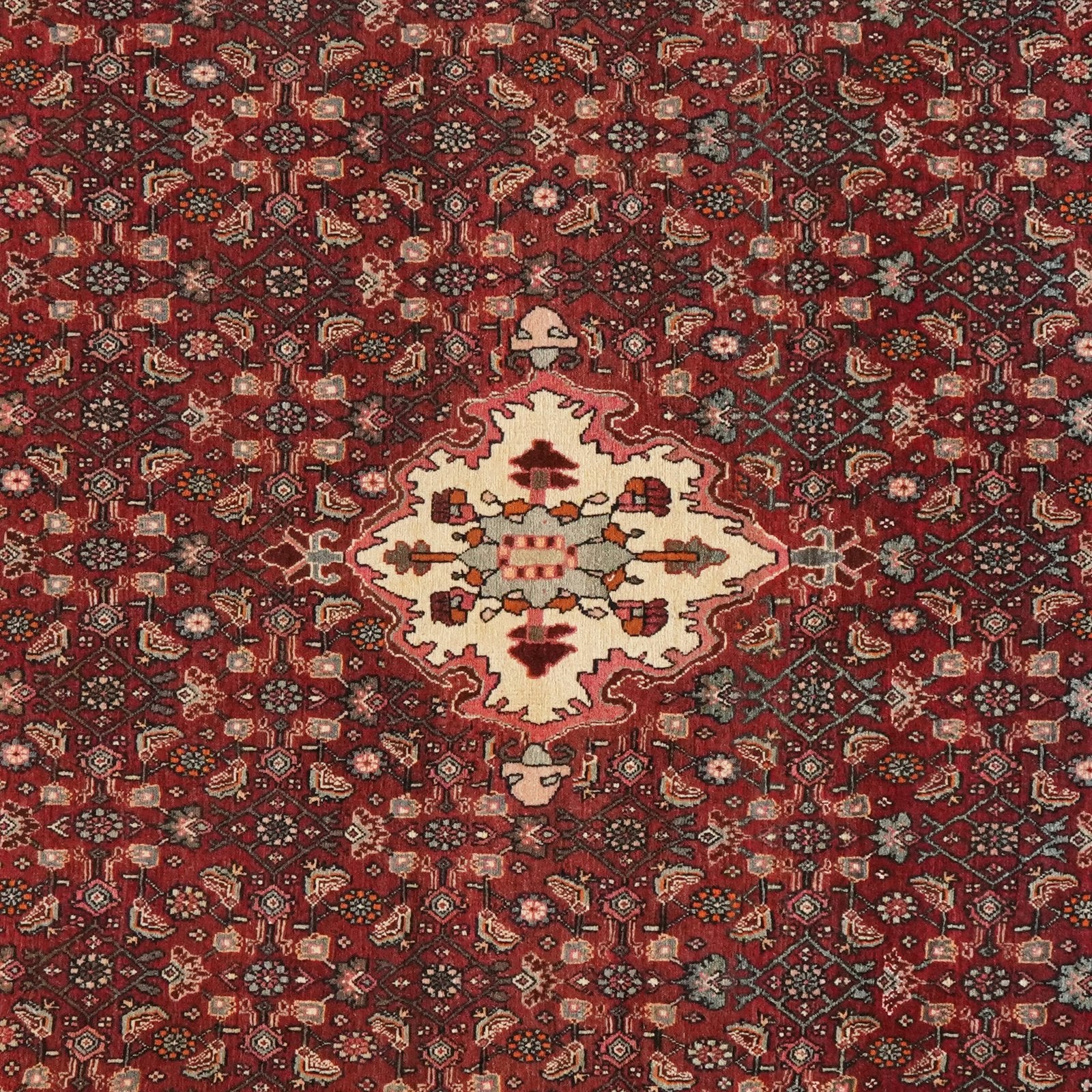 Bidjar — Hand-knotted, 139x214 cm, Red, 100% Virgin Wool | View 6