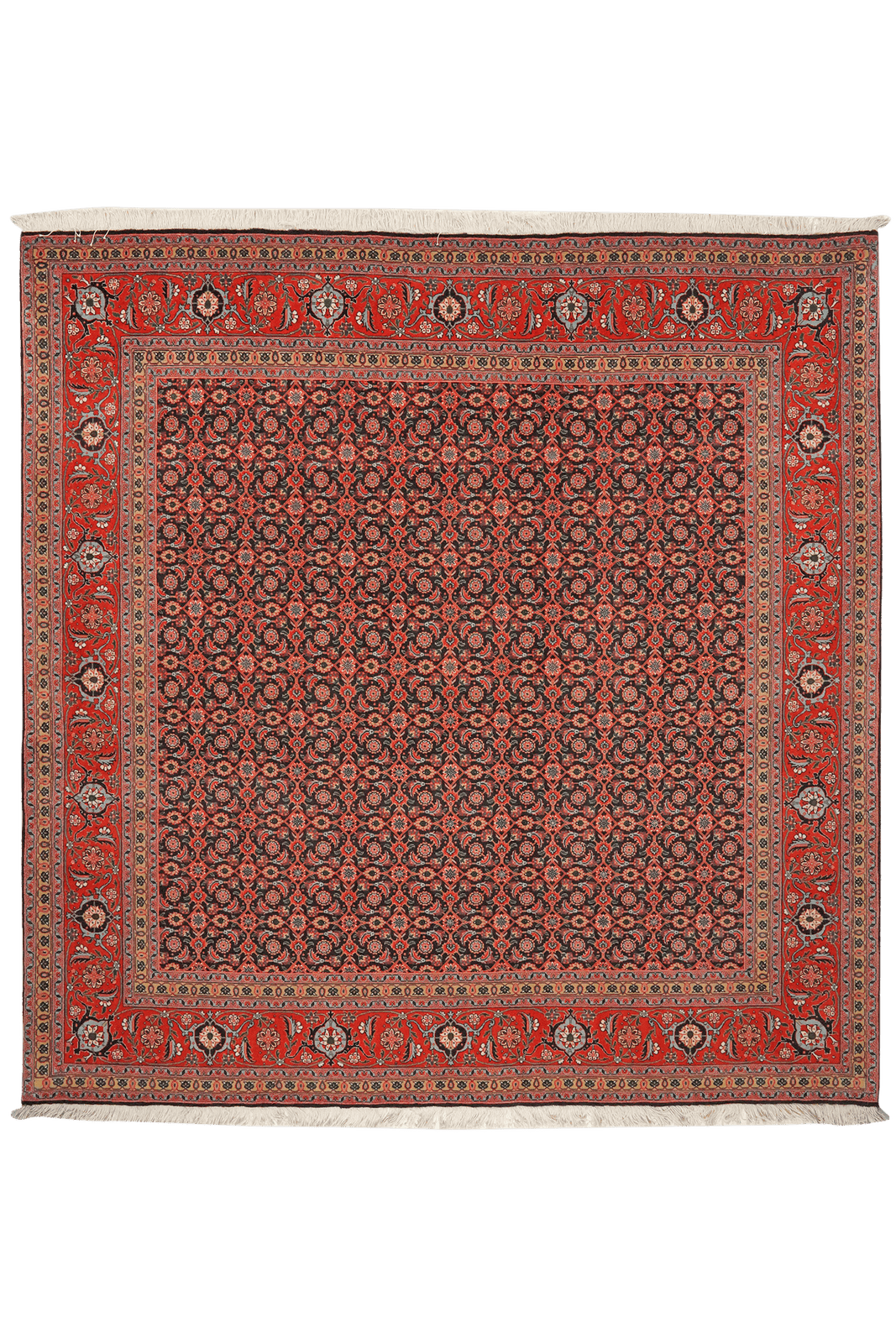 Tabriz 50 Raj — Hand-knotted, 203x204 cm, Blue, 100% Virgin Wool | Main view