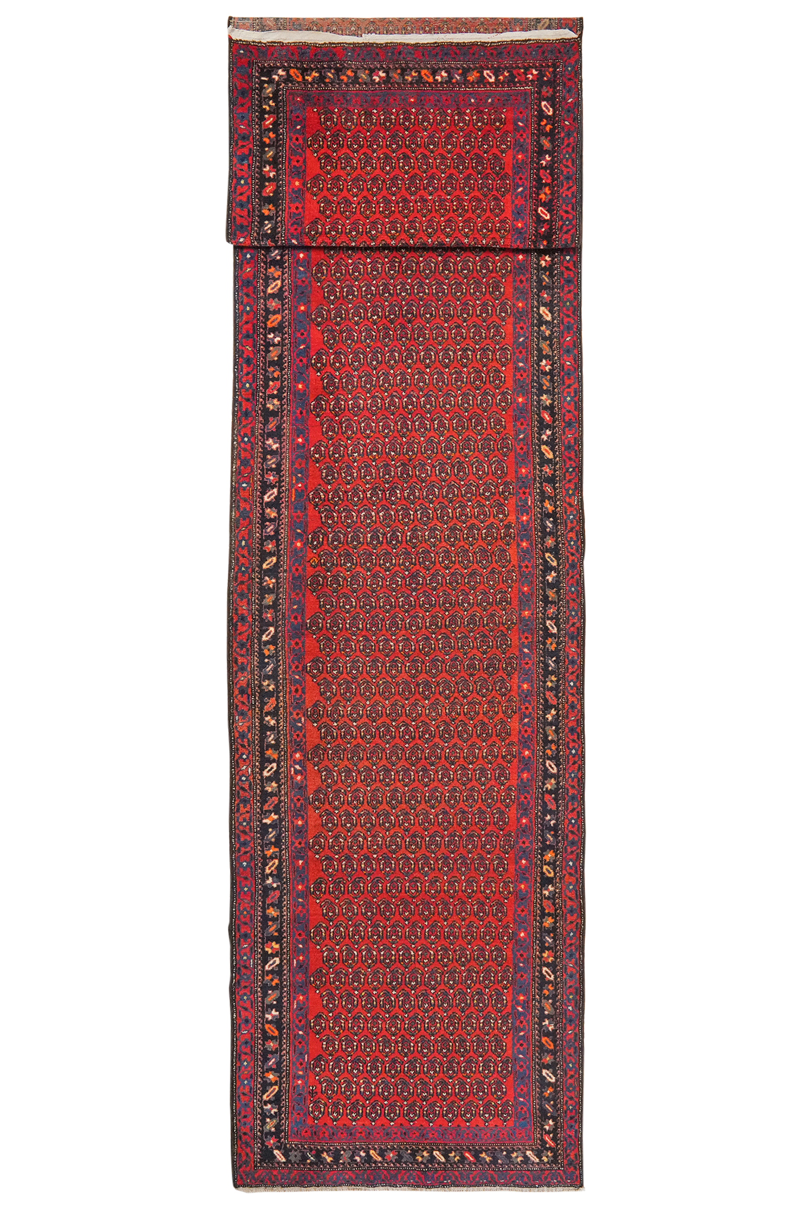 Malayer — Handgefertigt, 505x110 cm, Blau, 100% Virgin Wool | Main view