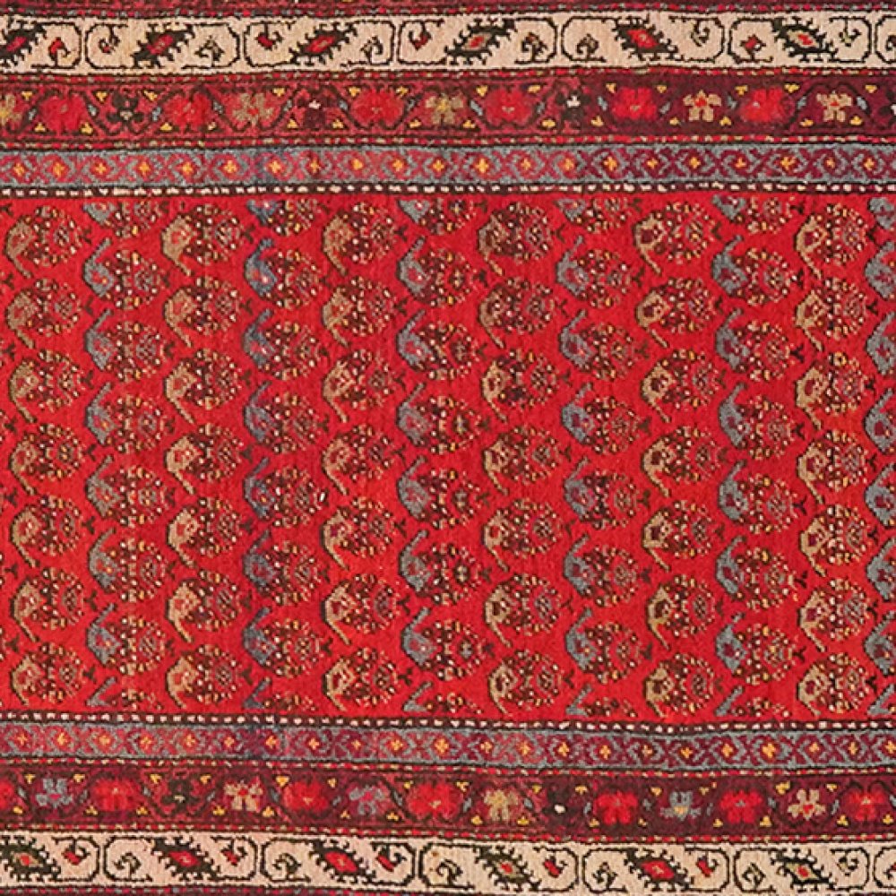 Malayer — Hand-knotted, 102x500 cm, Red, 100% Virgin Wool | View 4