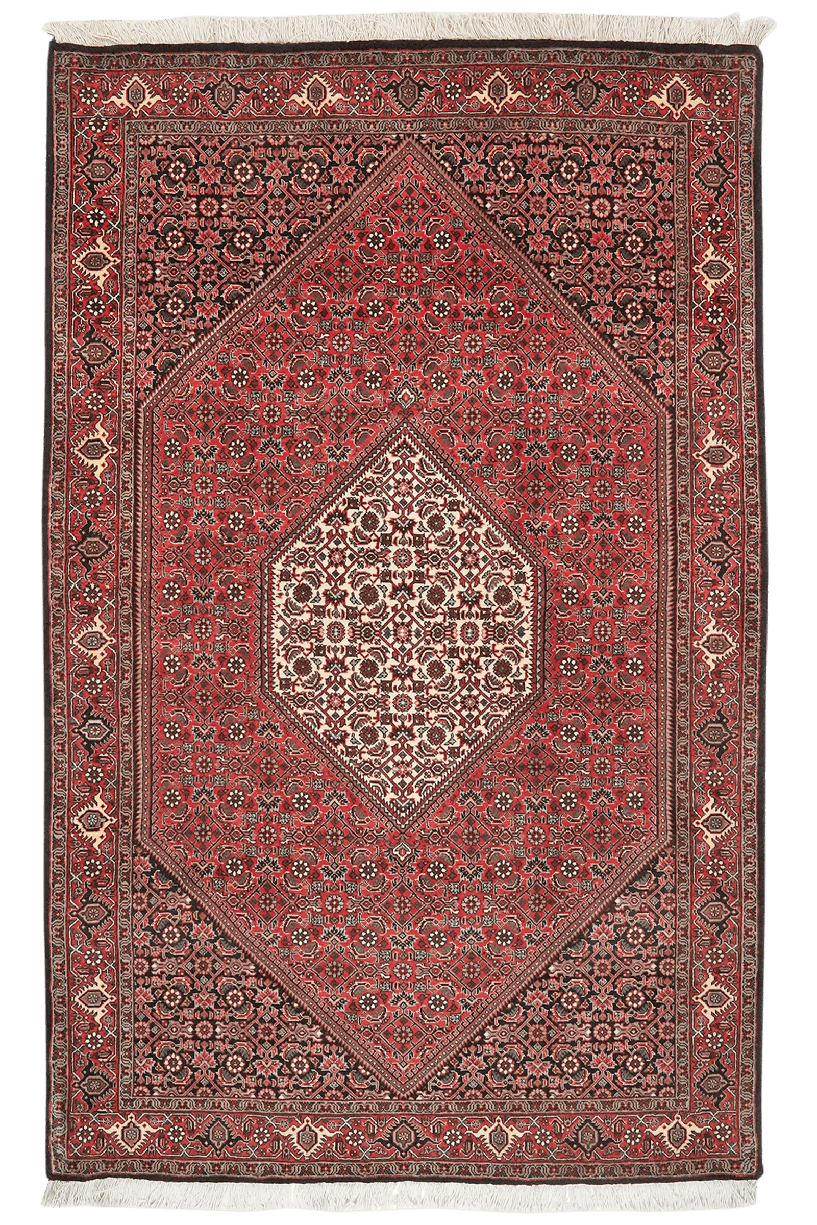 Bidjar Bookan — Hand-knotted, 110x174 cm, Red, 100% Virgin Wool | Main view