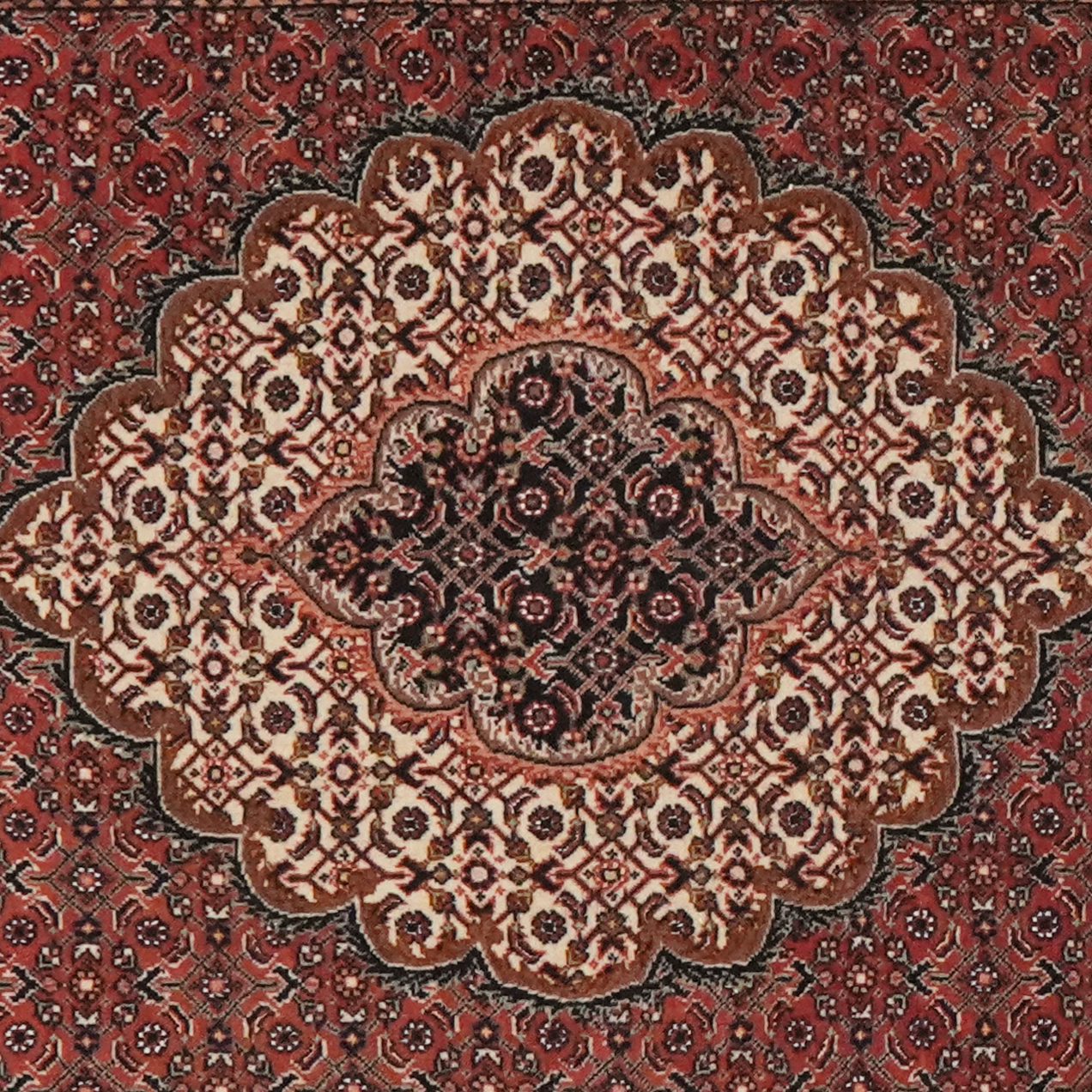 Bidjar Bookan — Handgefertigt, 308x89 cm, Grau, 100% Virgin Wool | View 5