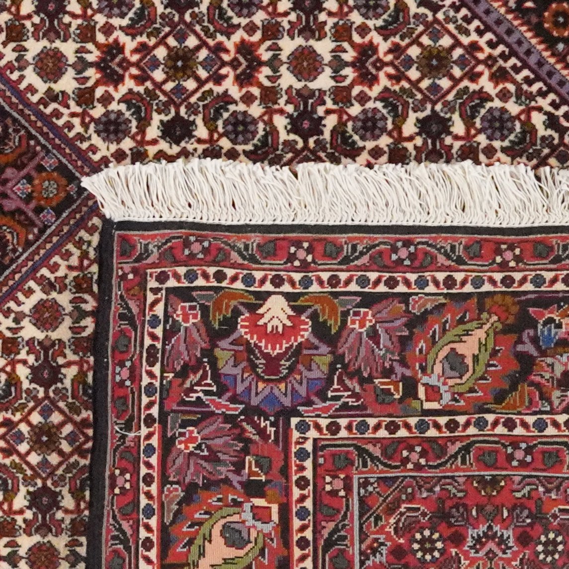 Bidjar Bookan — Hand-knotted, 146x235 cm, Beige, 100% Virgin Wool | View 6