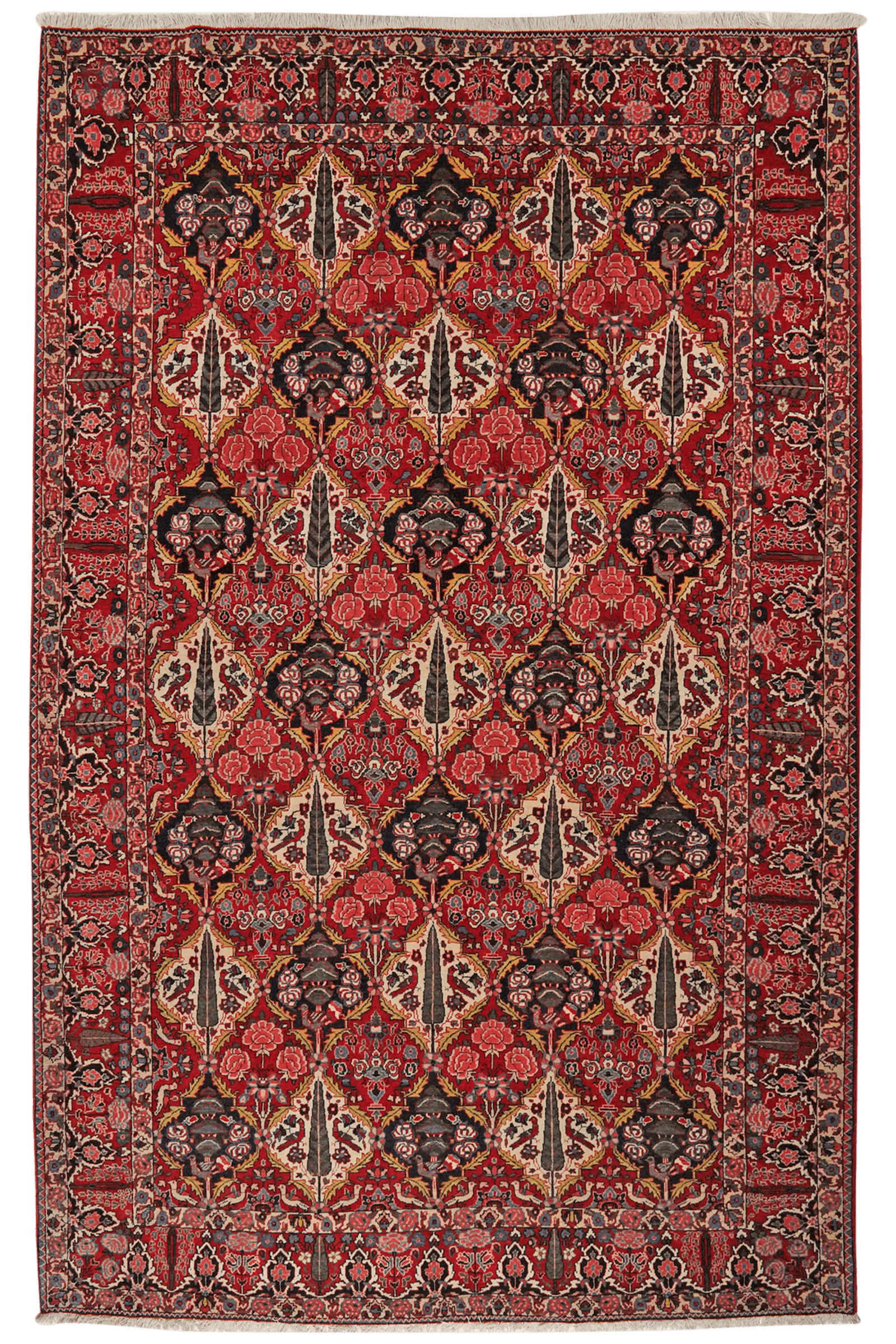 Bakhtiar — Hand-knotted, 212x341 cm, Multicolor, 100% Virgin Wool | Main view