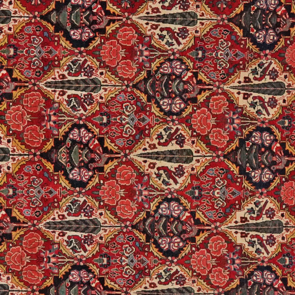 Bakhtiar — Hand-knotted, 212x341 cm, Multicolor, 100% Virgin Wool | View 4