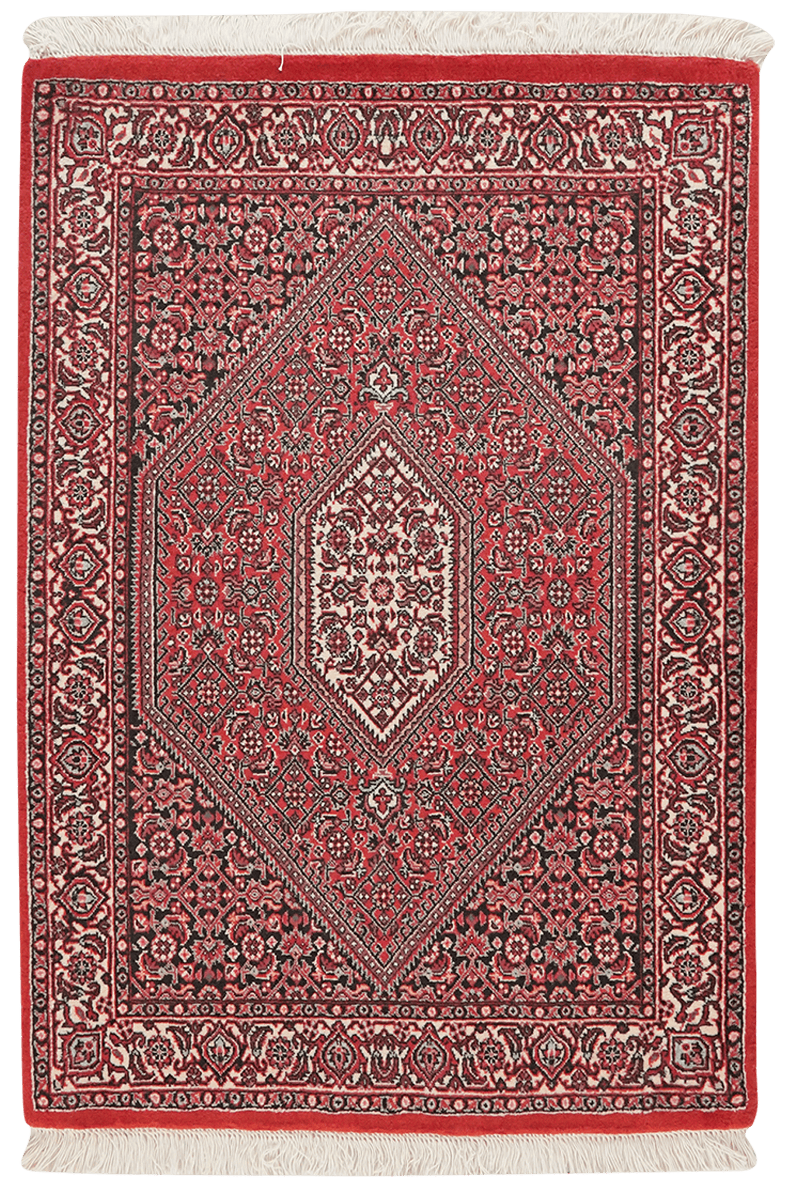 Bidjar Bookan — Hand-knotted, 75x108 cm, Red, 100% Virgin Wool | Main view