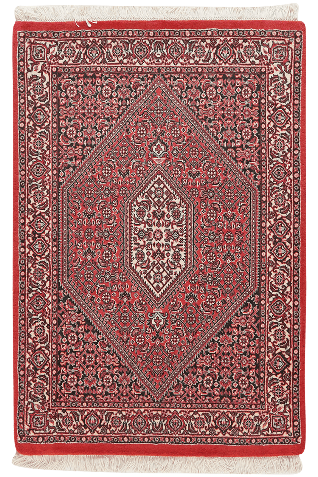 Bidjar Bookan — Hand-knotted, 75x110 cm, Red, 100% Virgin Wool | Main view