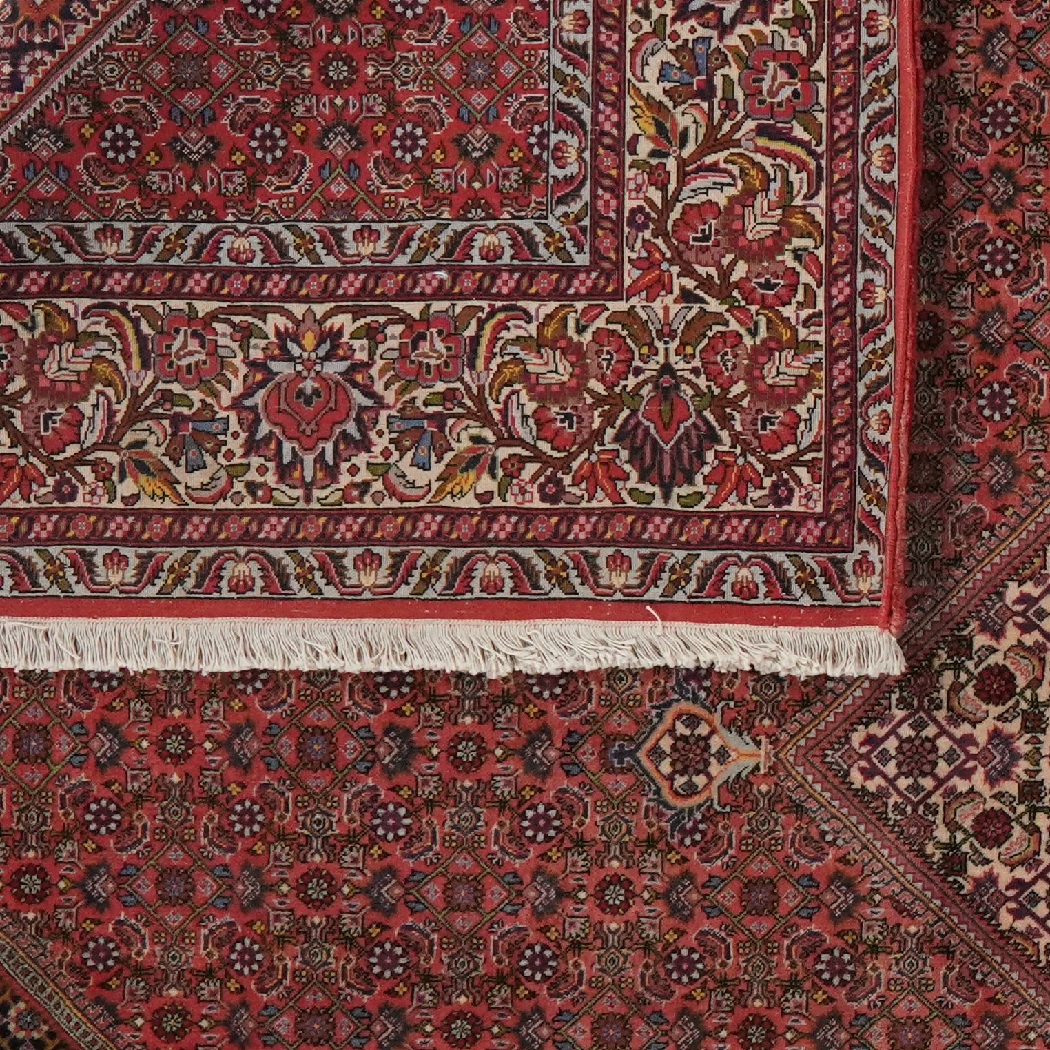 Bidjar — Hand-knotted, 258x362 cm, Red, 100% Virgin Wool | View 6