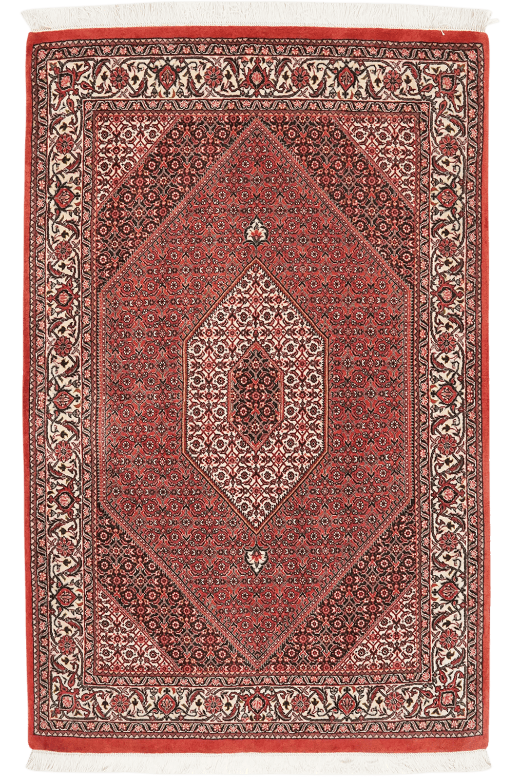 Bidjar Bookan — Hand-knotted, 107x167 cm, Red, 100% Virgin Wool | Main view