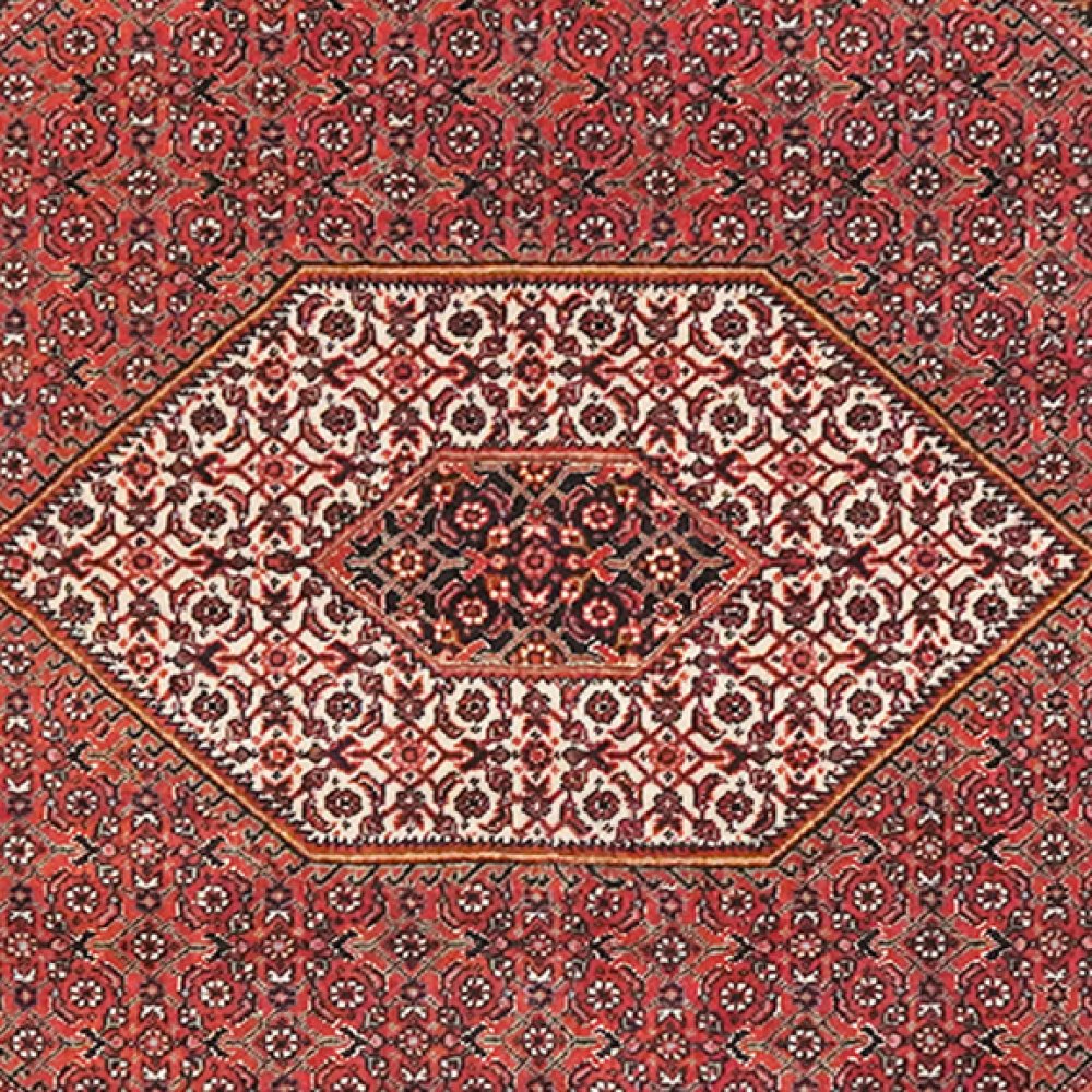 Bidjar Bookan — Hand-knotted, 107x167 cm, Red, 100% Virgin Wool | View 4