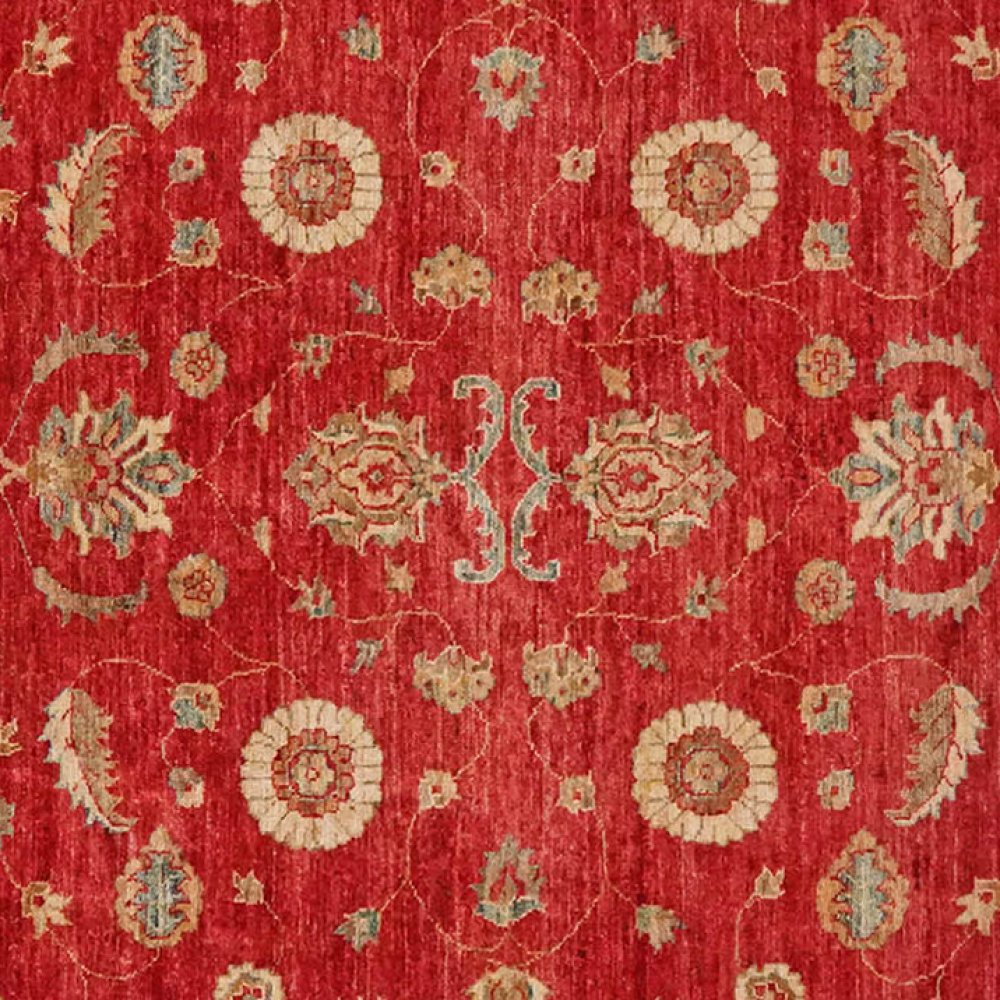 Ziegler — Hand-knotted, 196x269 cm, Red, 100% Virgin Wool | View 4