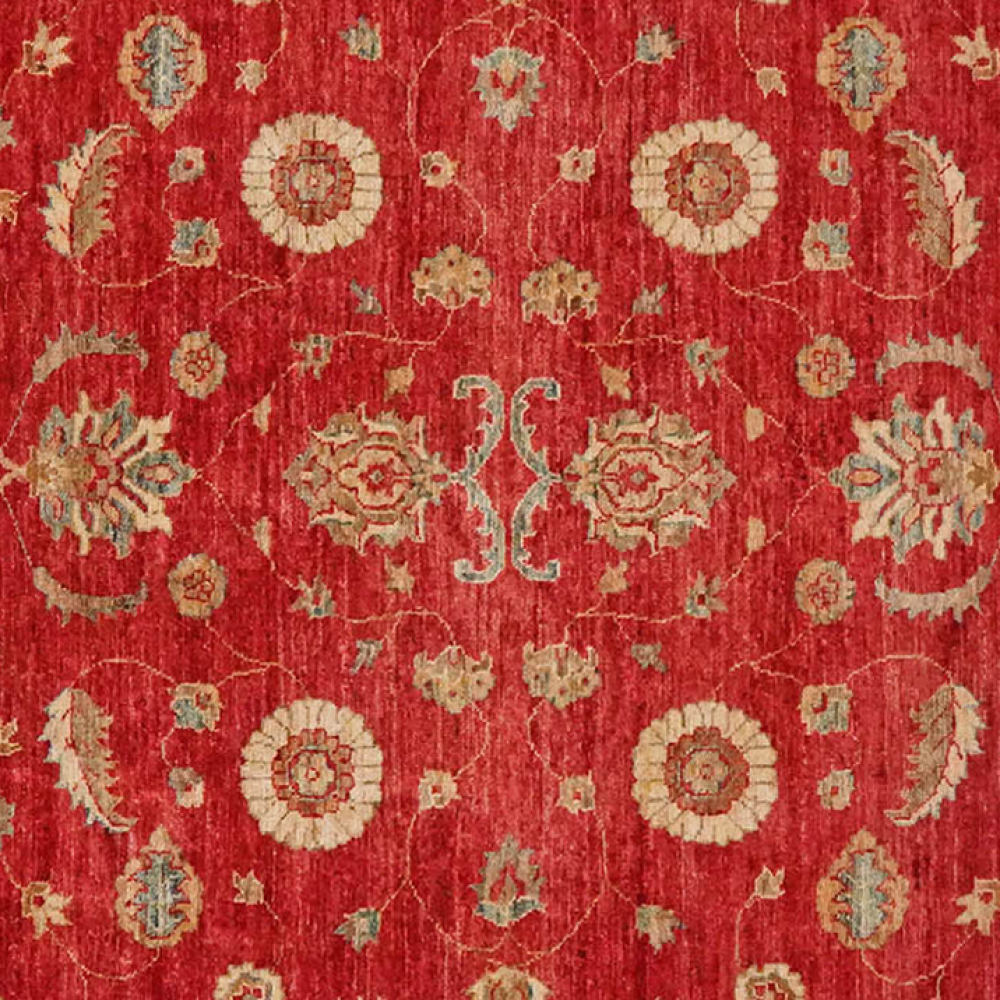 Ziegler — Handgefertigt, 269x196 cm, Beige, 100% Virgin Wool | View 5