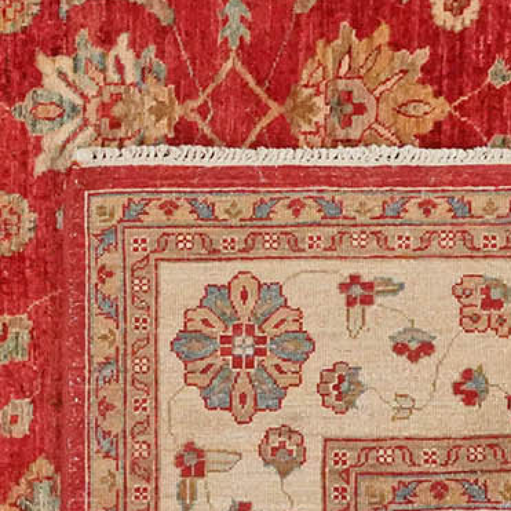 Ziegler — Handgefertigt, 269x196 cm, Beige, 100% Virgin Wool | View 7