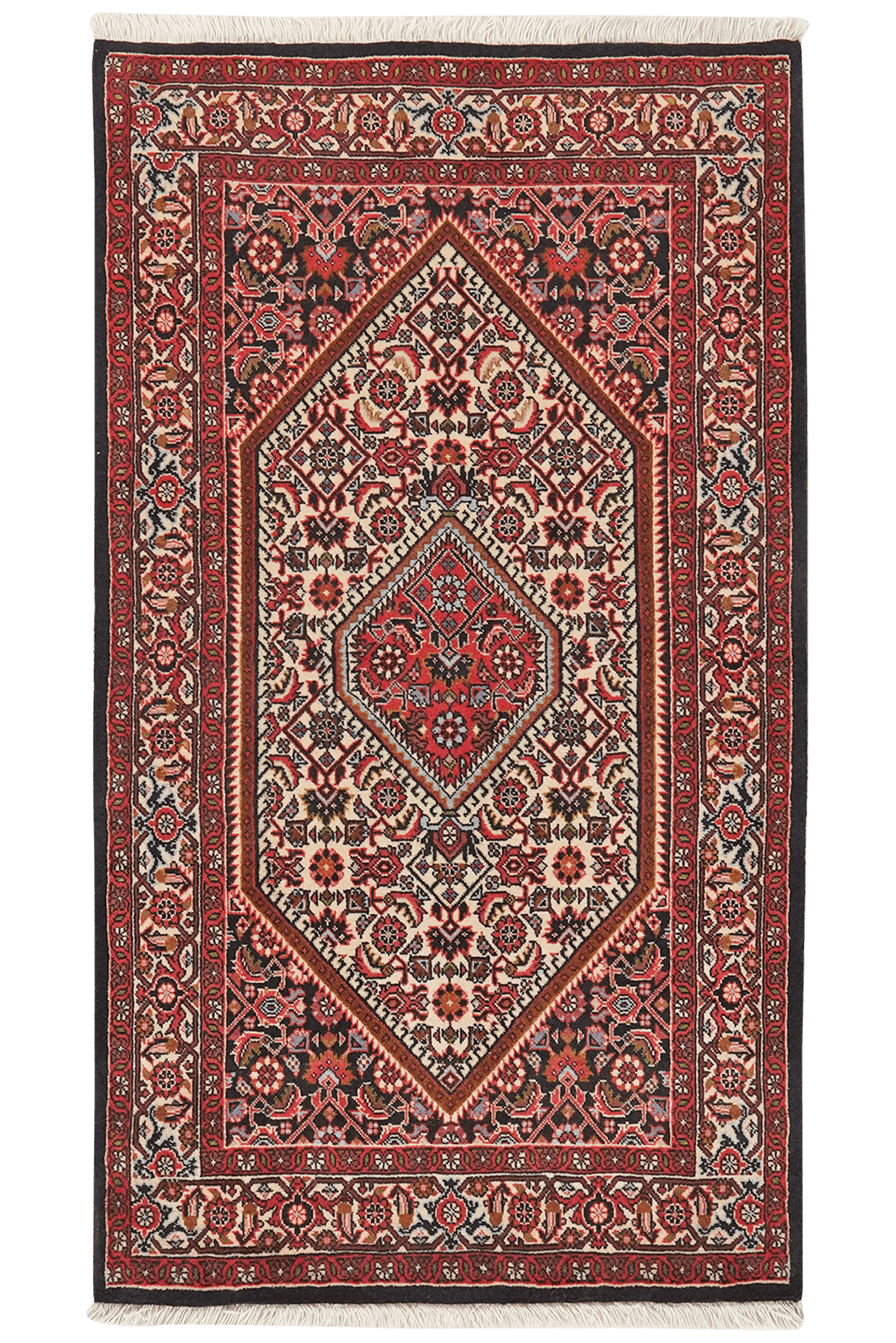 Bidjar Zandjan — Hand-knotted, 85x148 cm, Beige, 100% Virgin Wool | Main view