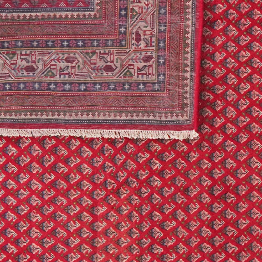 Sarough — Hand-knotted, 218x315 cm, Red, 100% Virgin Wool | View 6