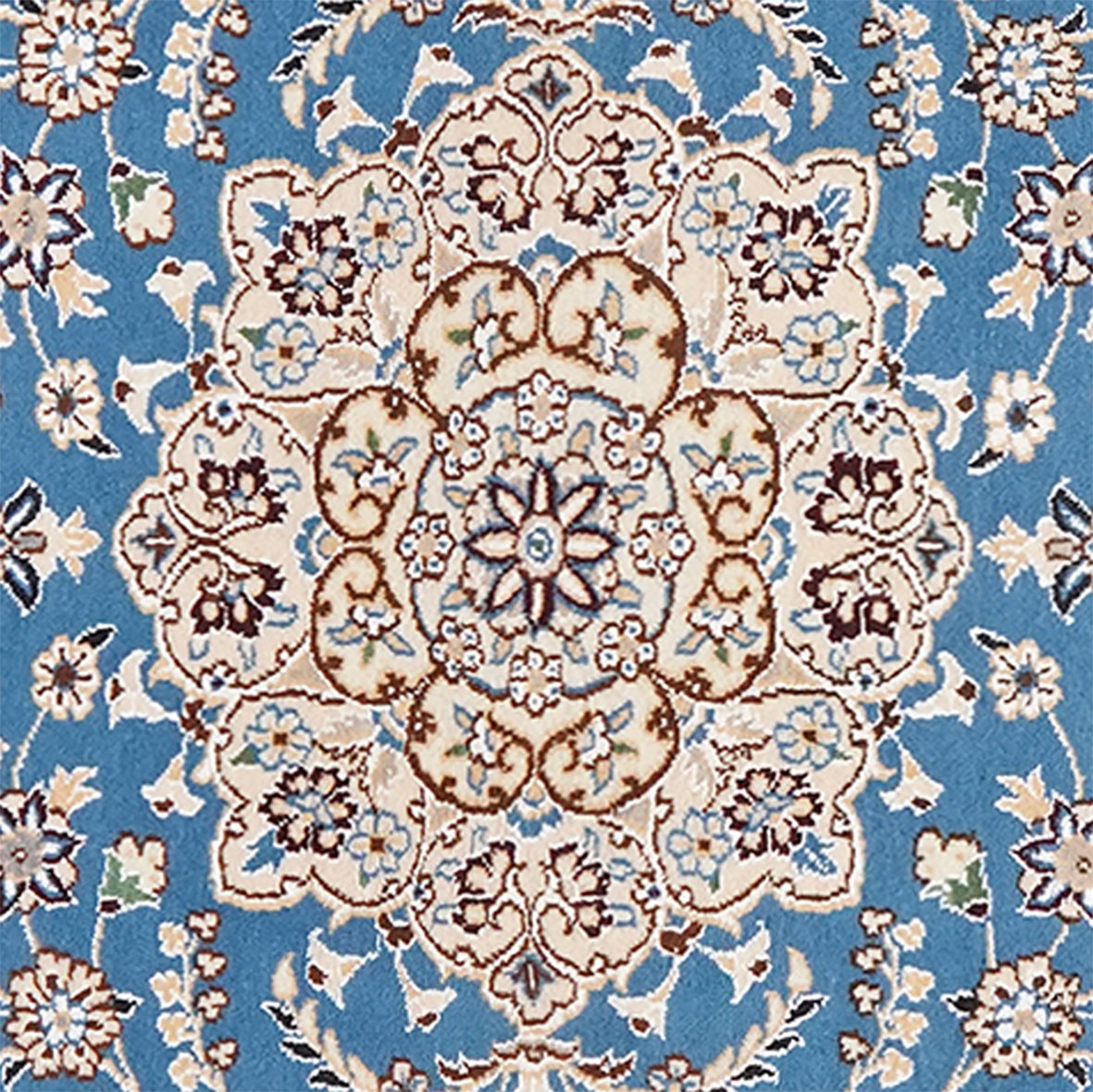 Nain 9La — Hand-knotted, 88x132 cm, Blue, 100% Virgin Wool | View 4