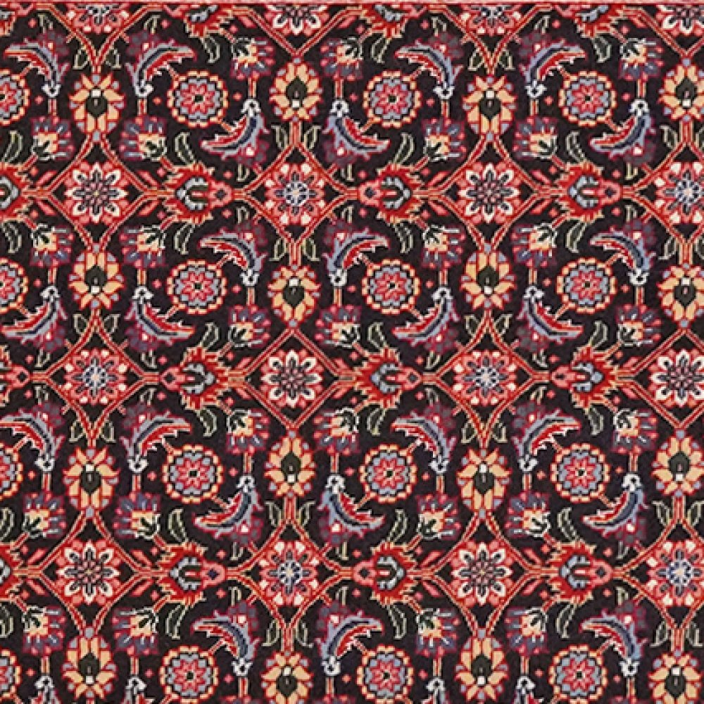 Tabriz 50 Raj — Hand-knotted, 65x196 cm, Black, 100% Virgin Wool | View 4