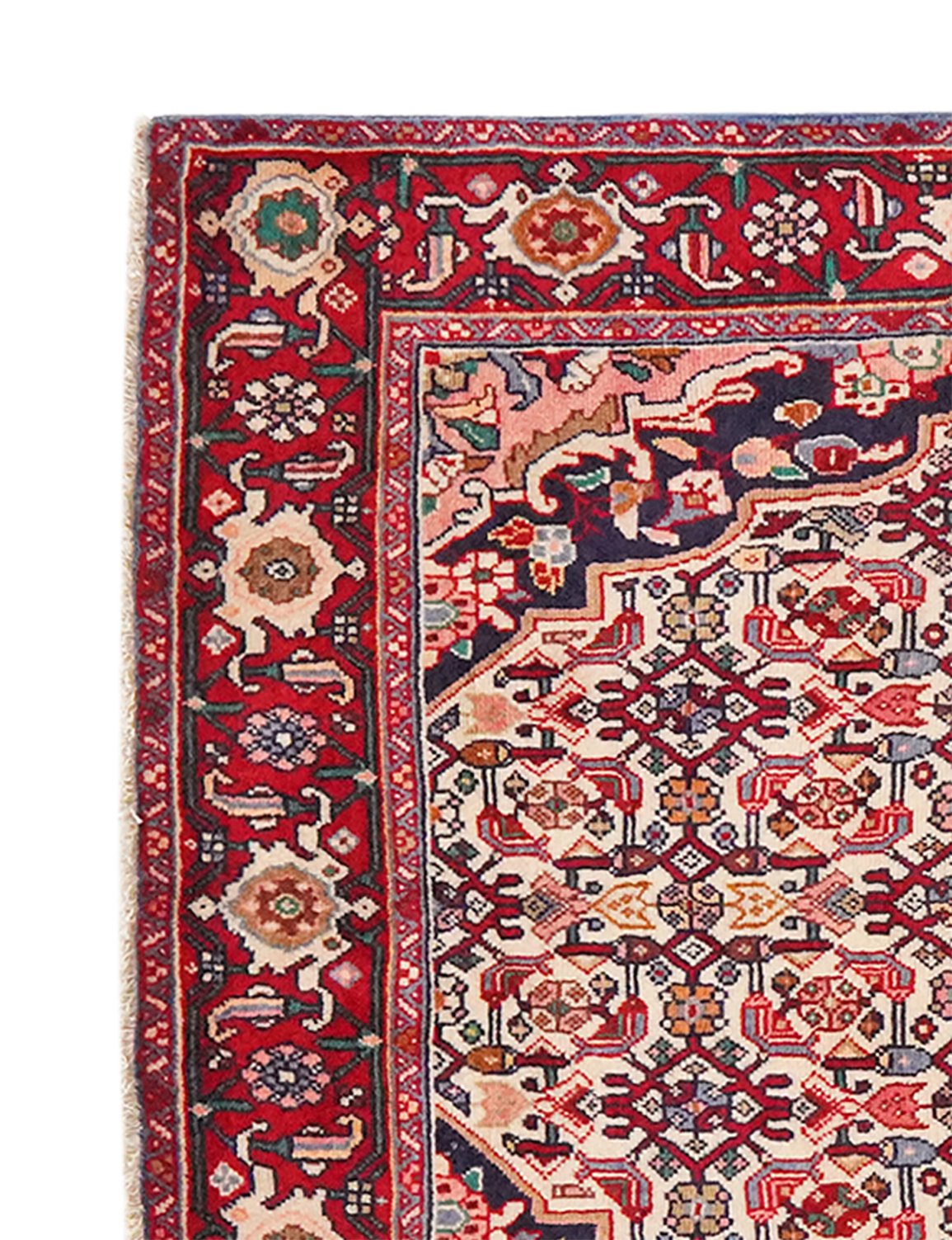 Bidjar — Hand-knotted, 100x161 cm, Beige, 100% Virgin Wool | View 3