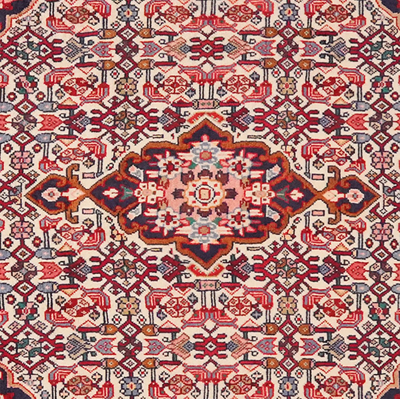 Bidjar — Hand-knotted, 100x161 cm, Beige, 100% Virgin Wool | View 4