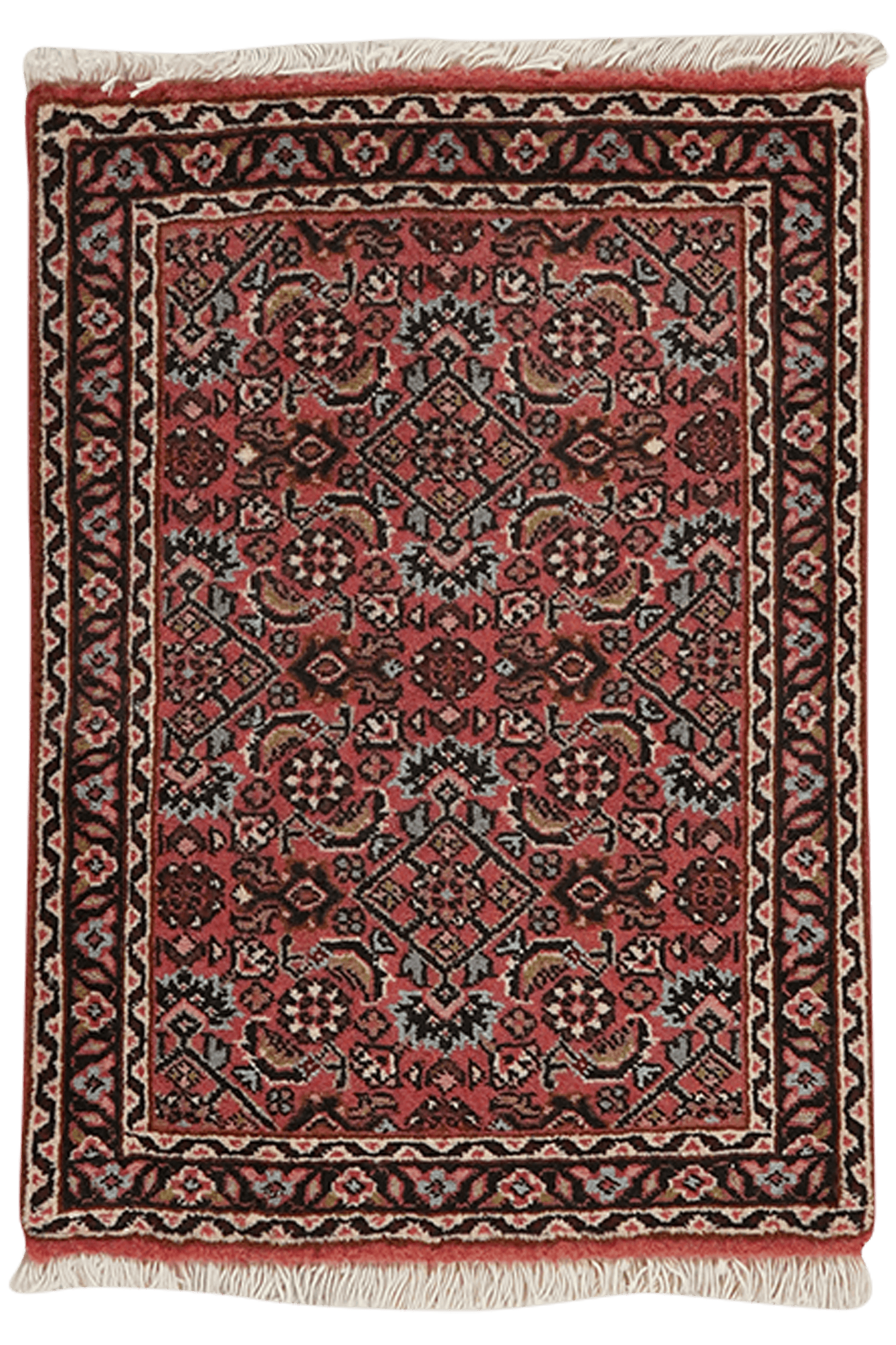Bidjar Zandjan — Hand-knotted, 43x61 cm, Red, 100% Virgin Wool | Main view