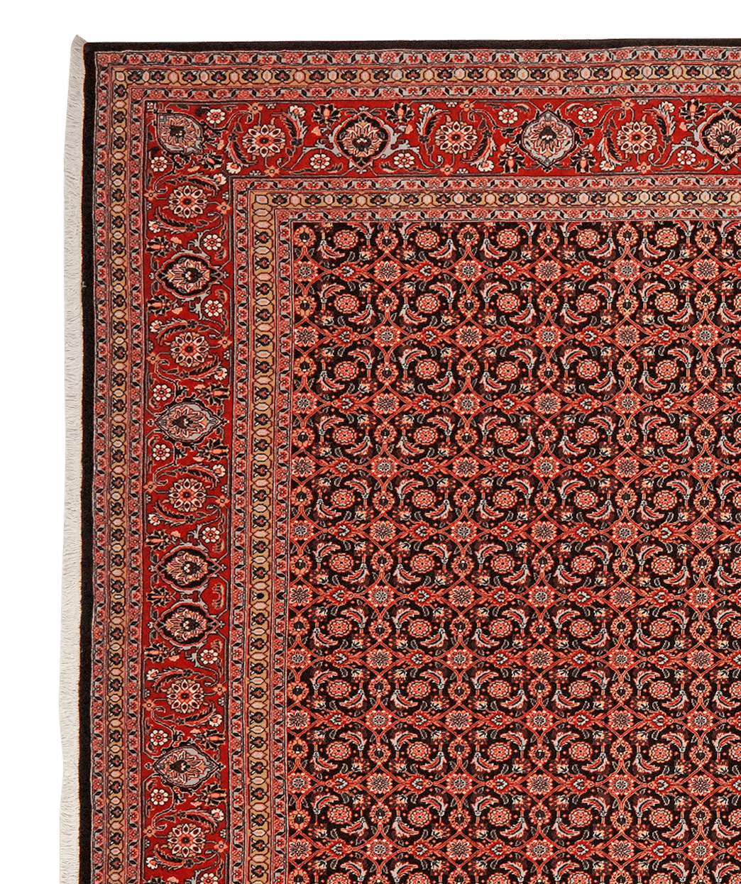Tabriz 50 Raj — Hand-knotted, 201x295 cm, Blue, 100% Virgin Wool | View 3
