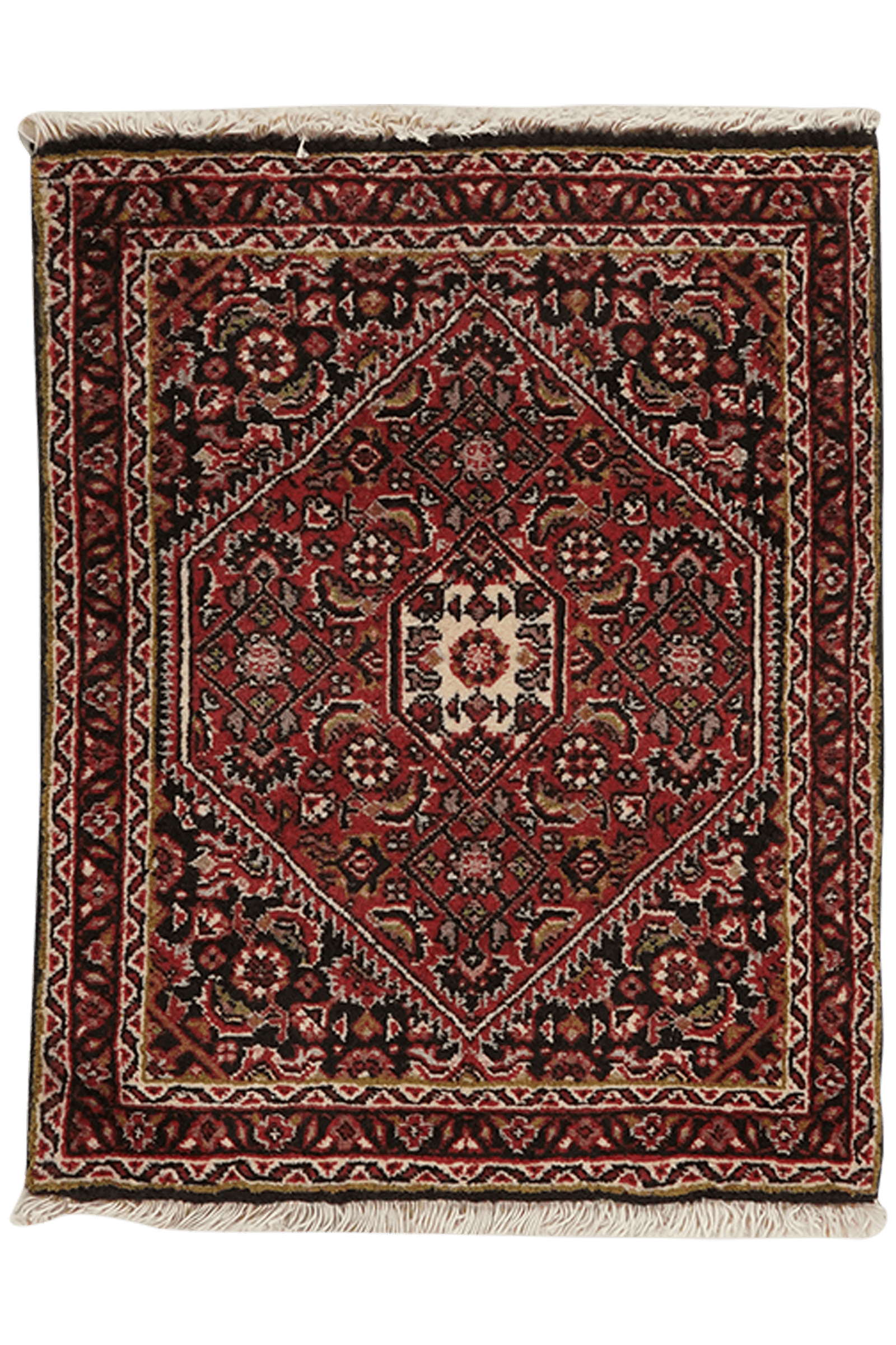 Bidjar Zandjan — Hand-knotted, 49x63 cm, Blue, 100% Virgin Wool | Main view