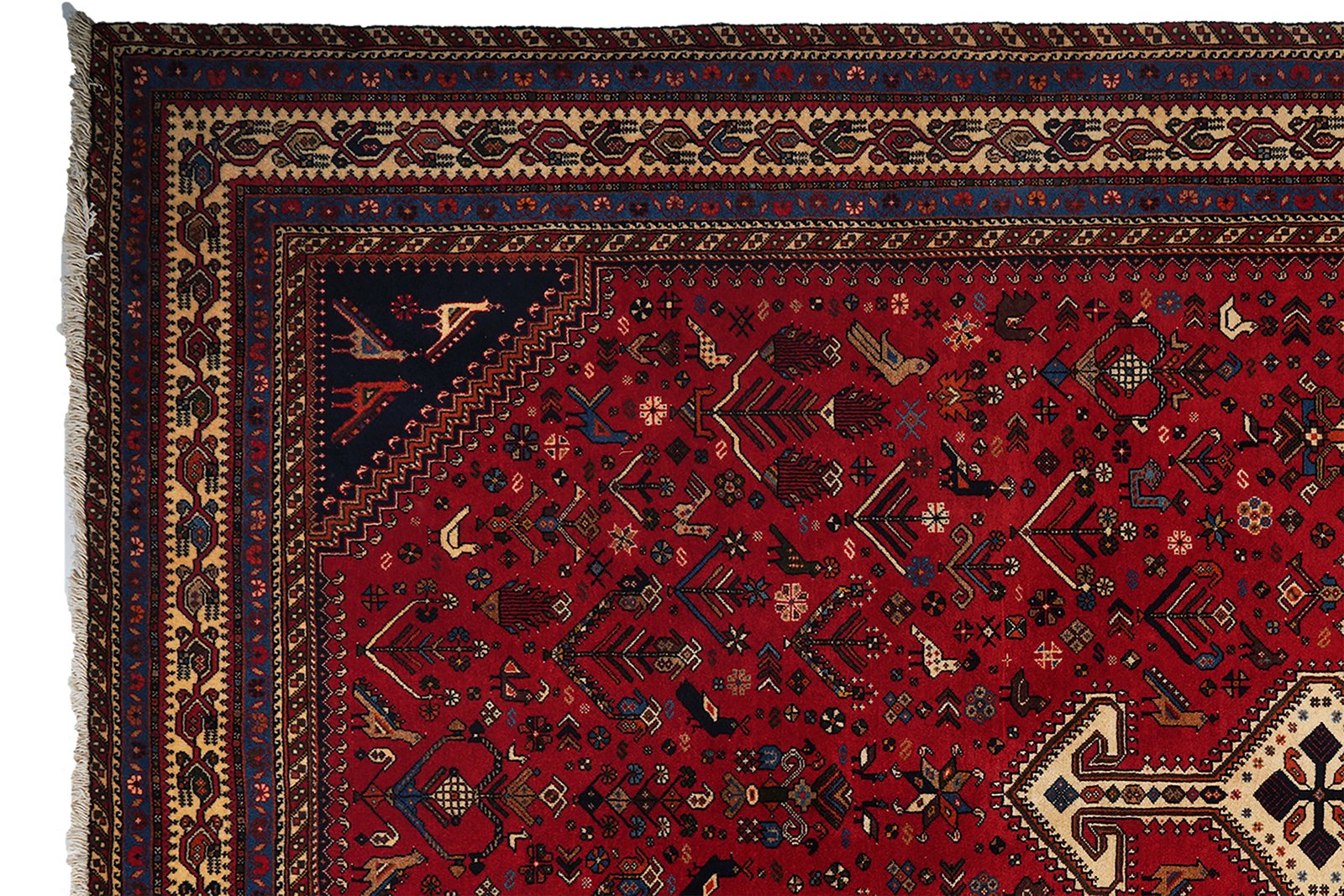 Nasrabad — Hand-knotted, 196x302 cm, Red, 100% Virgin Wool | View 3