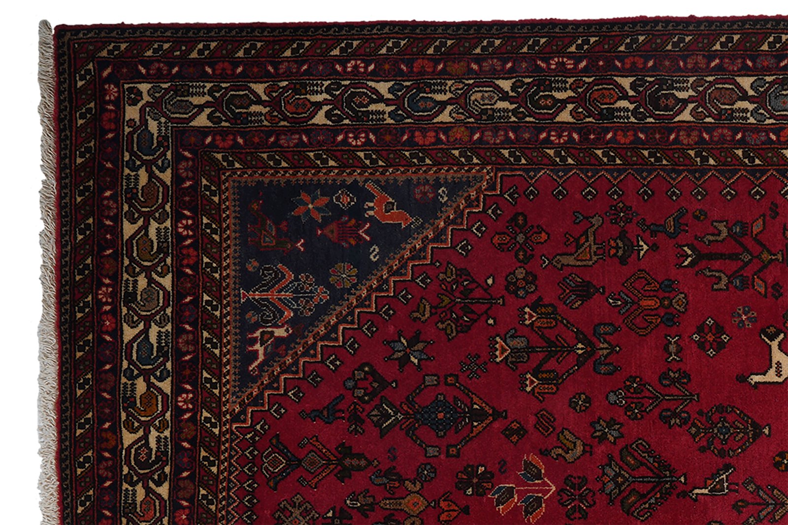Nasrabad — Hand-knotted, 169x247 cm, Red, 100% Virgin Wool | View 3