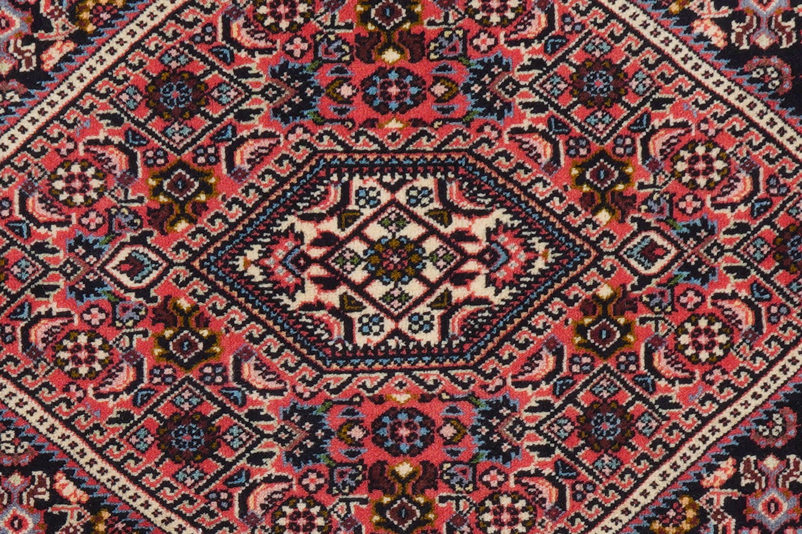 Bidjar Zandjan — Hand-knotted, 68x104 cm, Red, 100% Virgin Wool | View 8