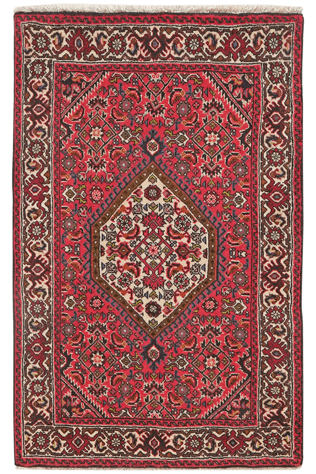Bidjar Zandjan — Hand-knotted, 63x101 cm, Red, 100% Virgin Wool | Main view