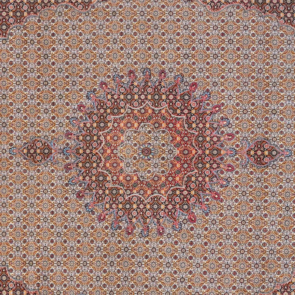 Moud Mahi — Hand-knotted, 247x335 cm, Brown, 100% Virgin Wool | View 4