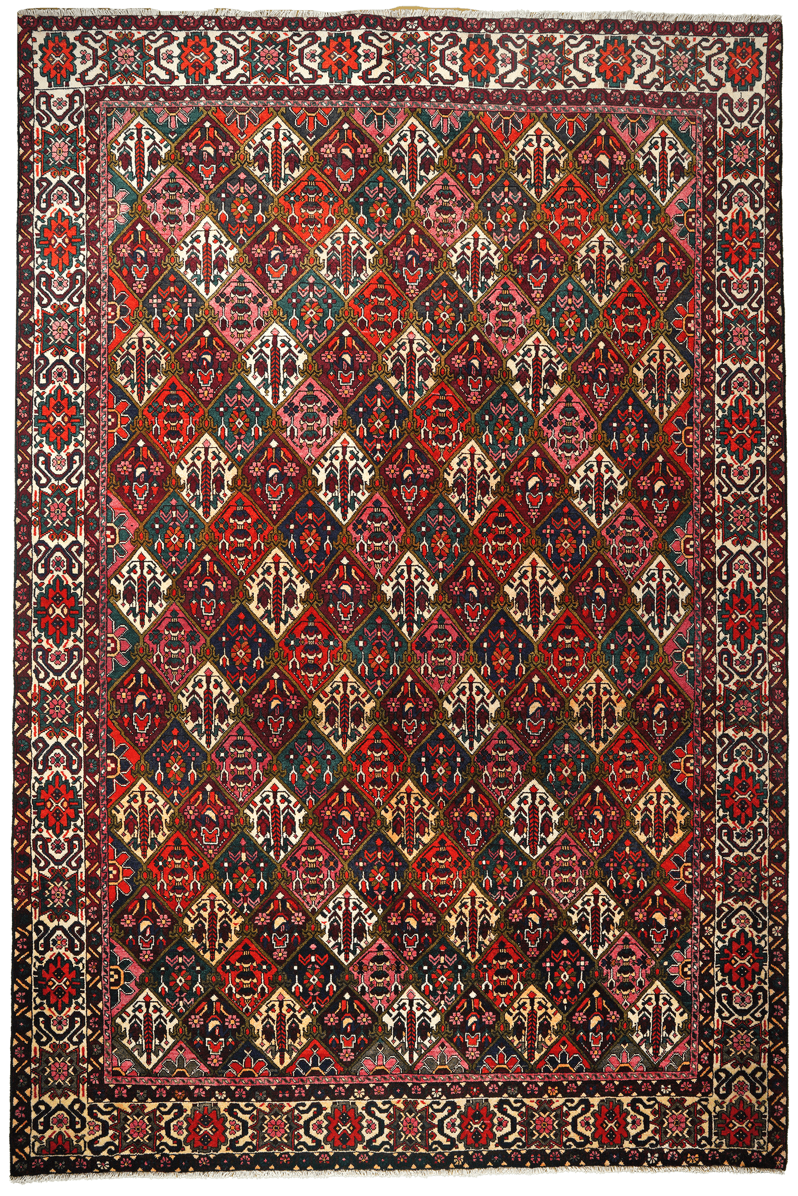 Bakhtiar — Hand-knotted, 205x307 cm, Multicolor, 100% Virgin Wool | Main view