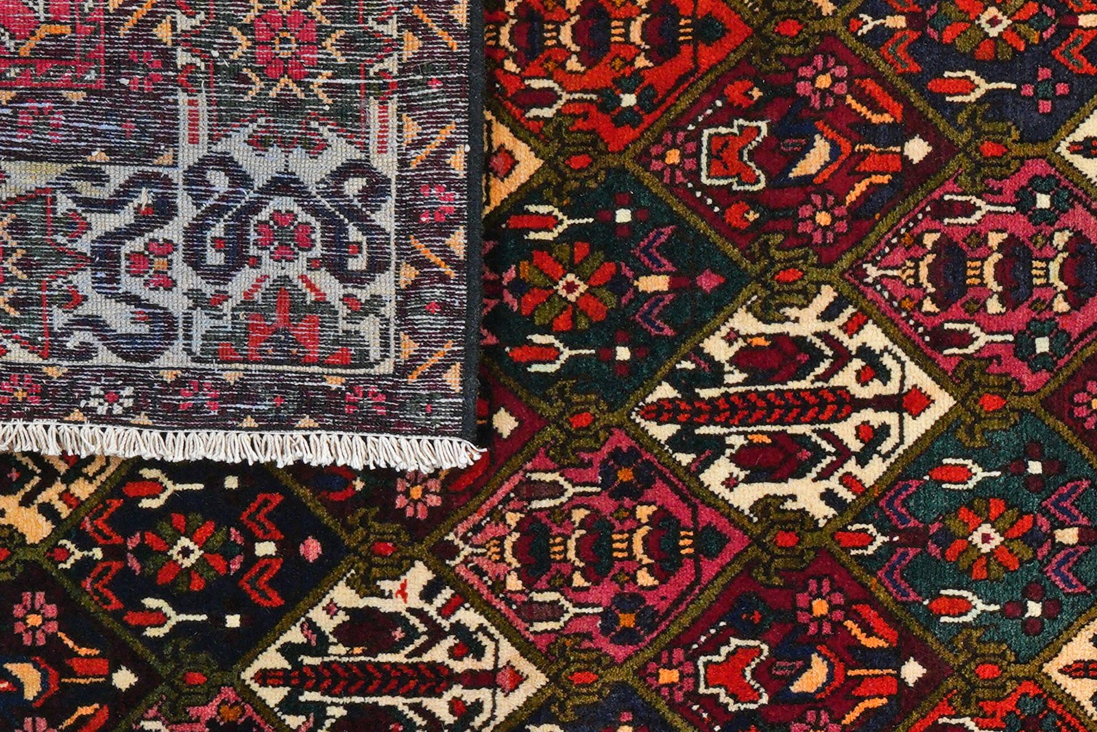 Bakhtiar — Hand-knotted, 205x307 cm, Multicolor, 100% Virgin Wool | View 7