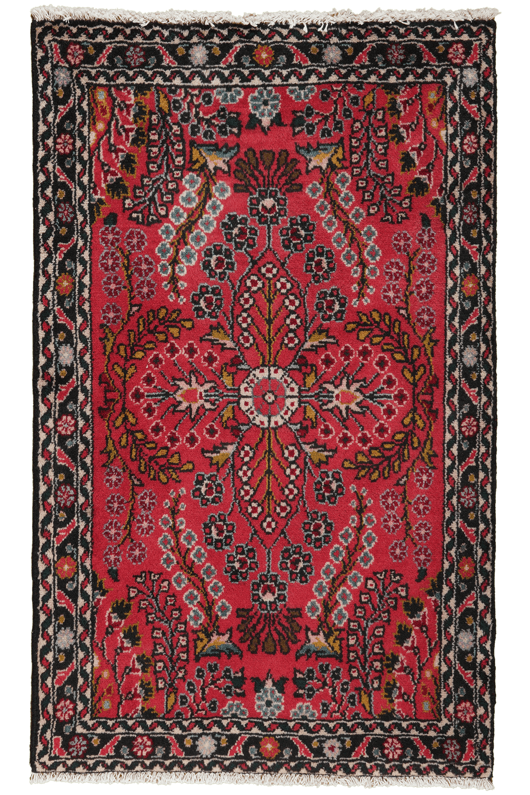 Dardjazin — Hand-knotted, 77x125 cm, Red, 100% Virgin Wool | Main view