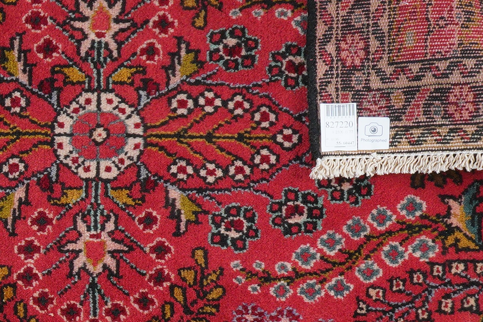 Dardjazin — Hand-knotted, 77x125 cm, Red, 100% Virgin Wool | View 6