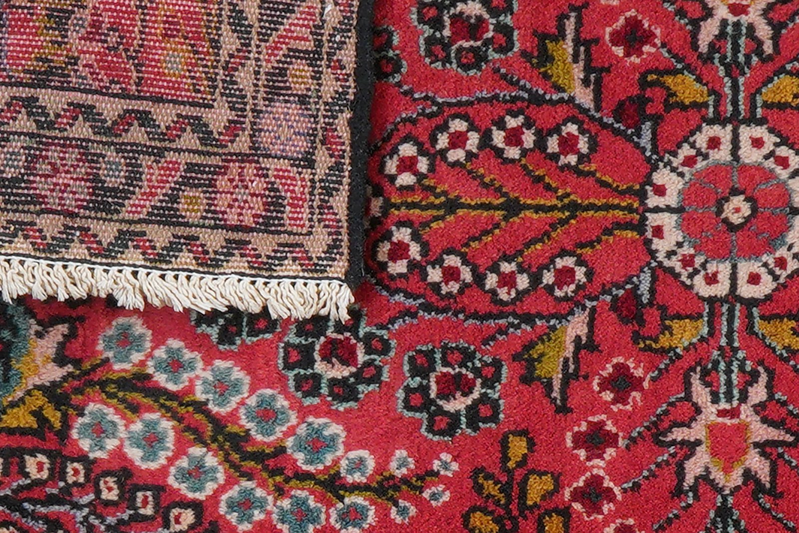 Dardjazin — Hand-knotted, 77x125 cm, Red, 100% Virgin Wool | View 8