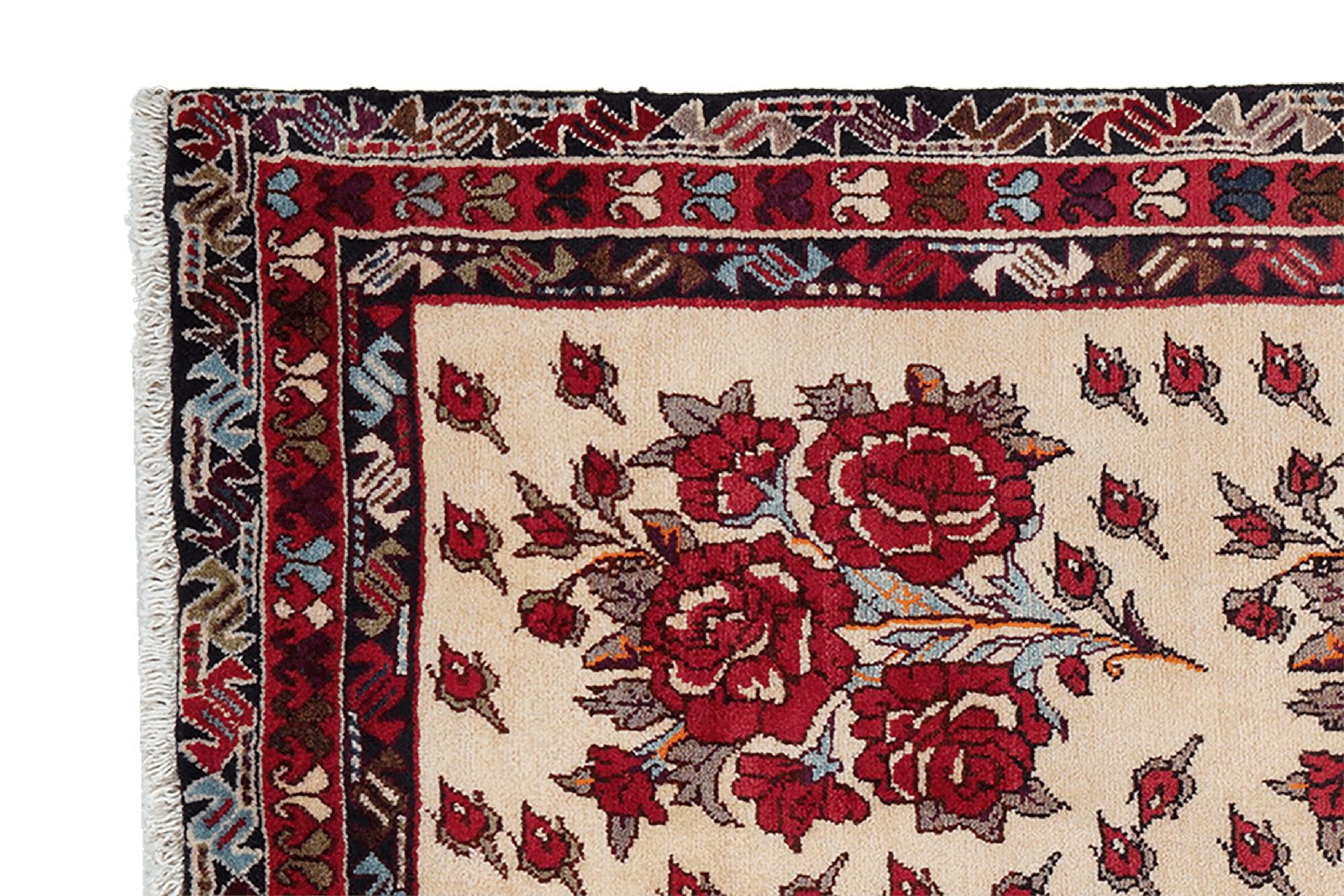 Afshar — Hand-knotted, 111x222 cm, Beige, 100% Virgin Wool | View 3