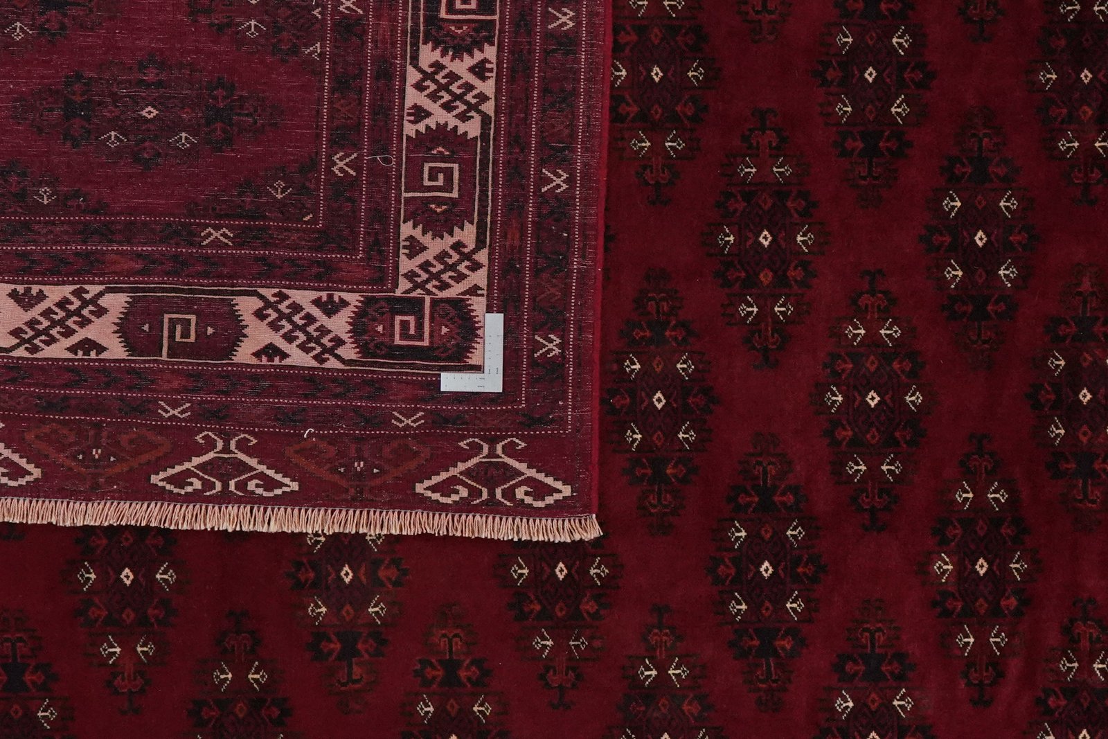Turkman — Hand-knotted, 263x346 cm, Red, 100% Virgin Wool | View 5
